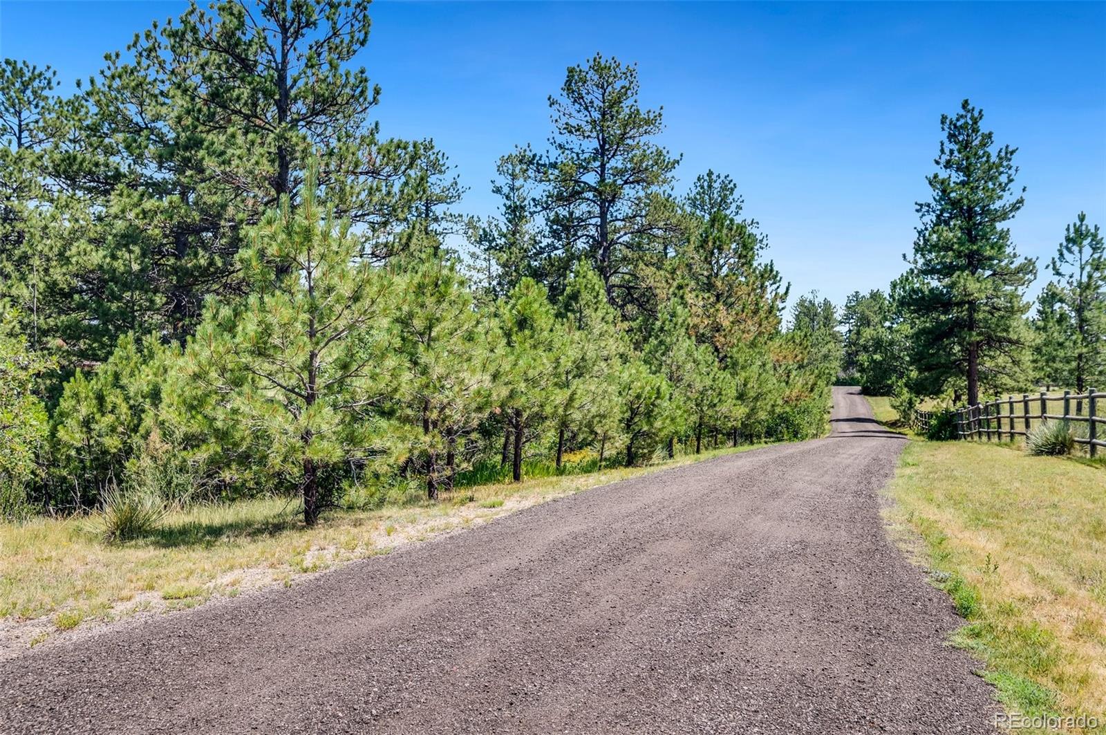 MLS Image #4 for 10765  deerfield road,franktown, Colorado