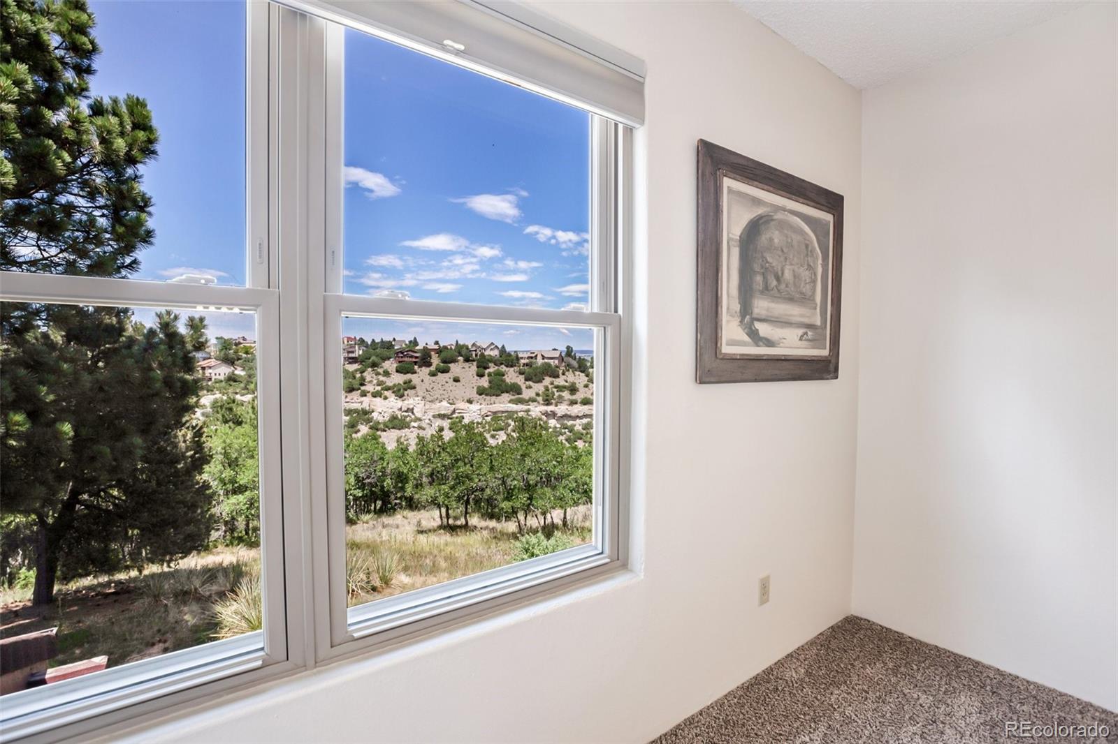 MLS Image #19 for 610  autumn crest circle,colorado springs, Colorado