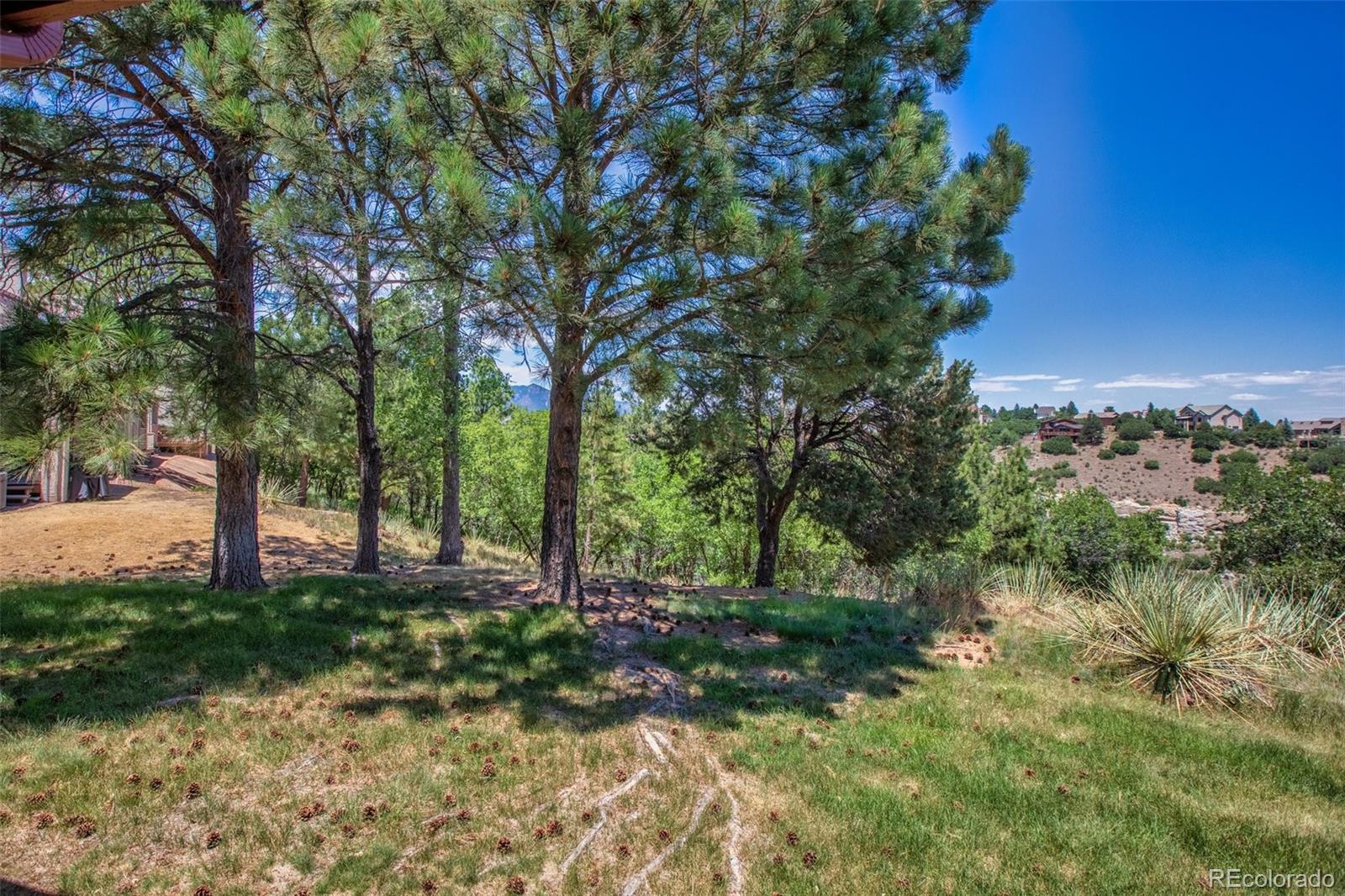 MLS Image #27 for 610  autumn crest circle,colorado springs, Colorado