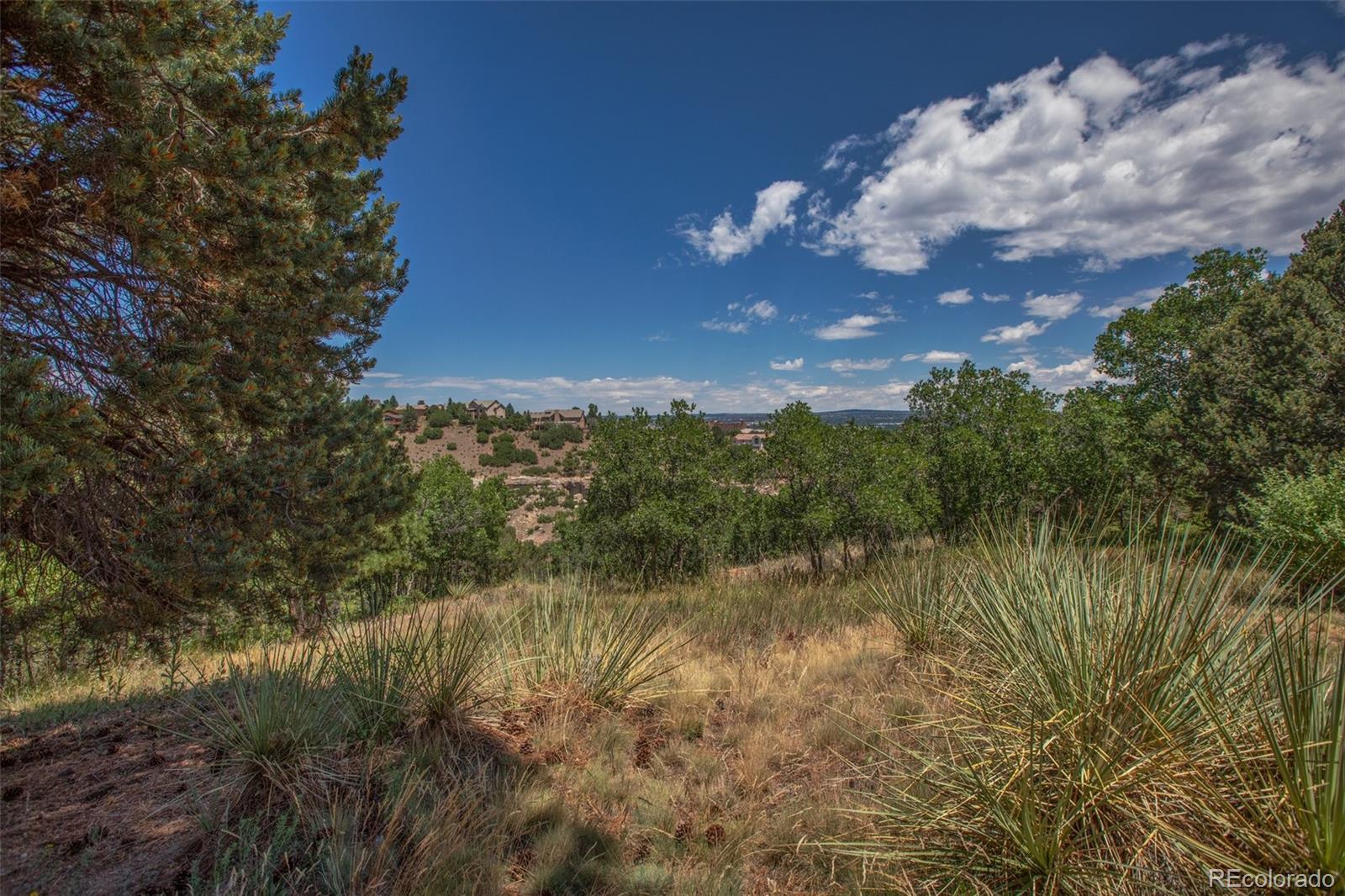 MLS Image #28 for 610  autumn crest circle,colorado springs, Colorado