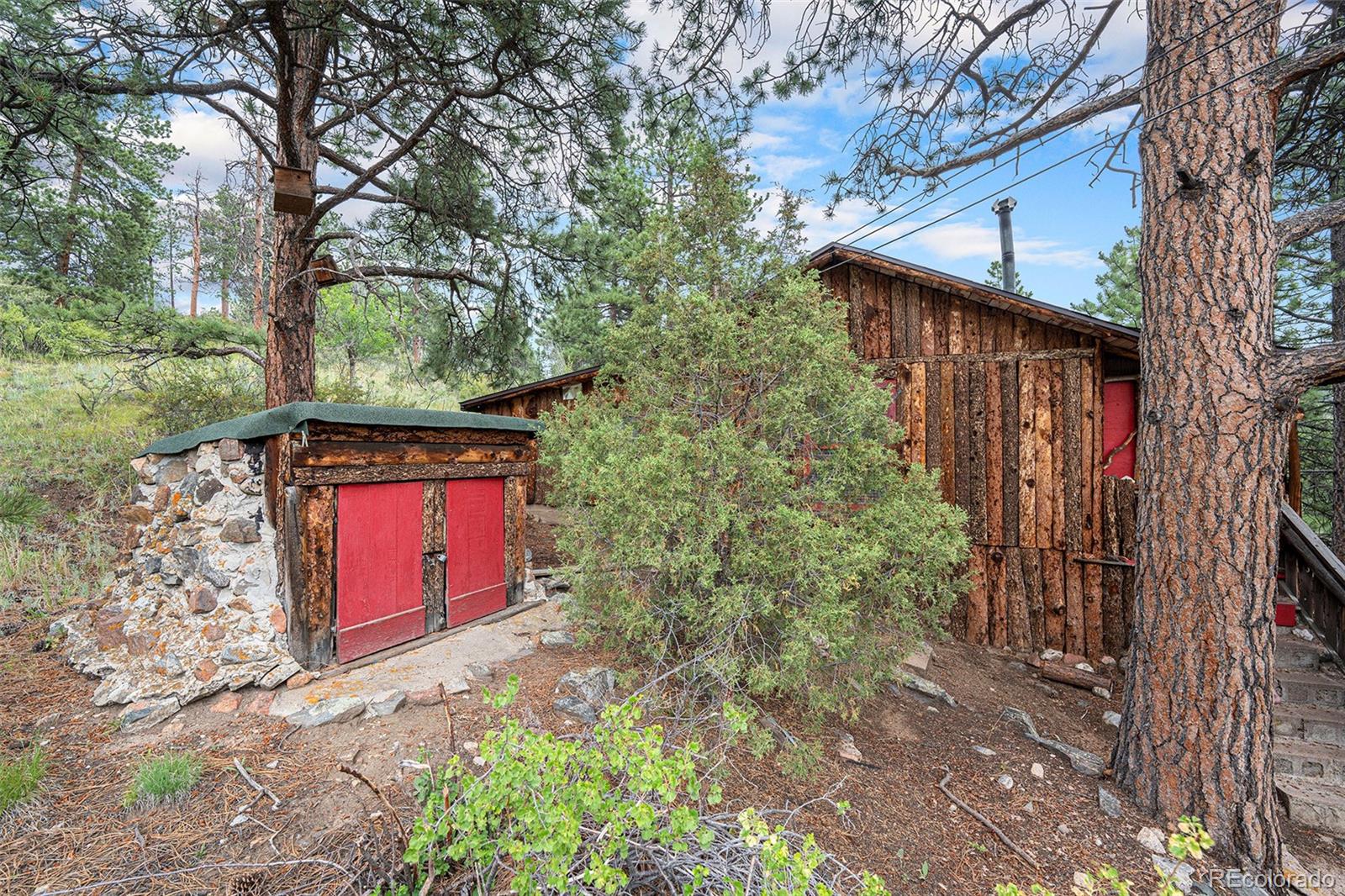 MLS Image #11 for 34387  springdale drive,pine, Colorado