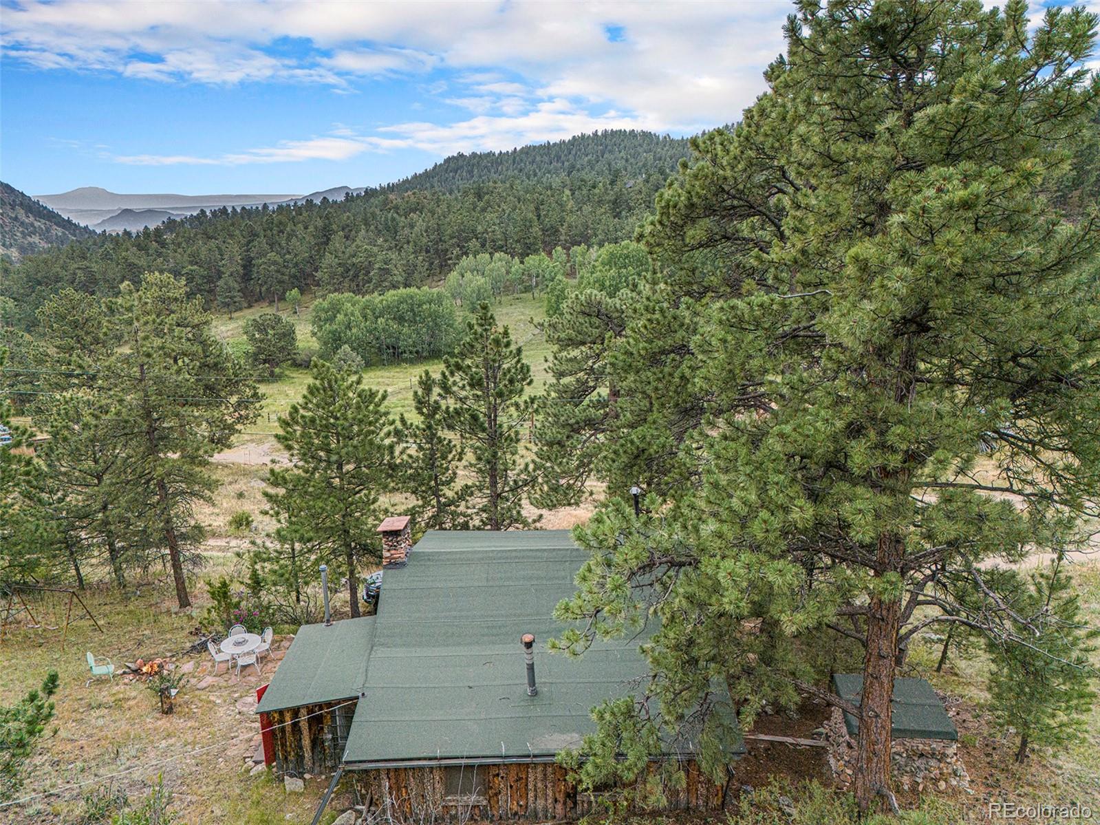 MLS Image #13 for 34387  springdale drive,pine, Colorado