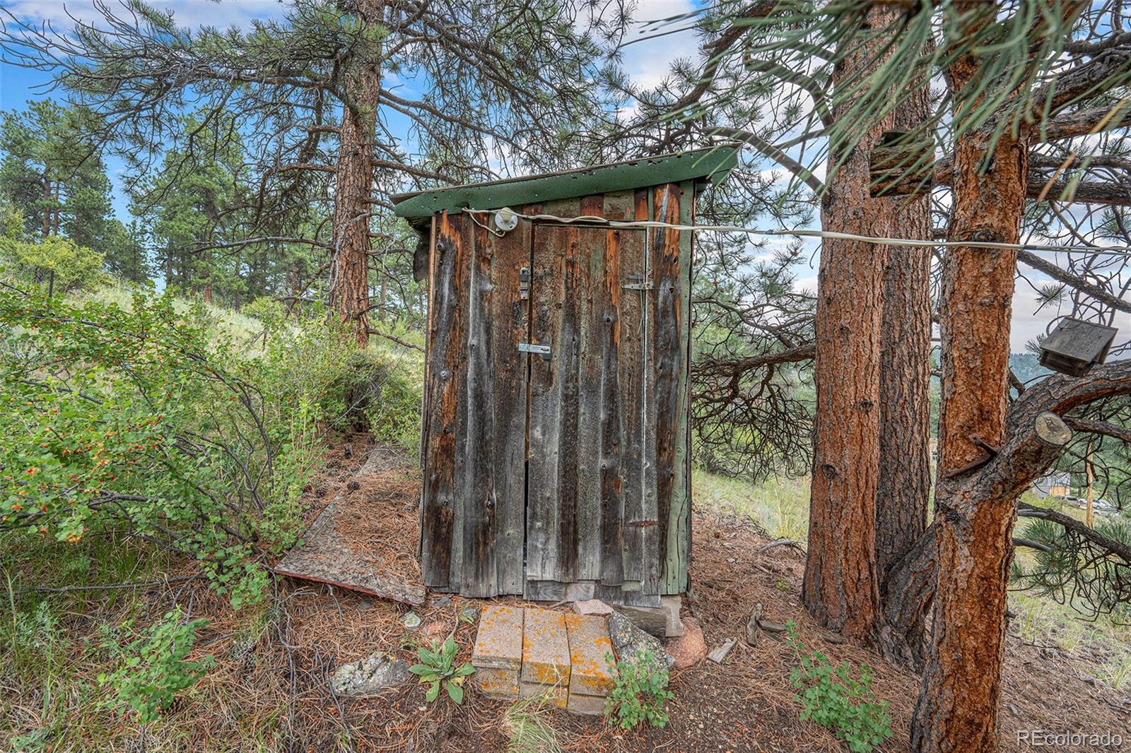 MLS Image #9 for 34387  springdale drive,pine, Colorado