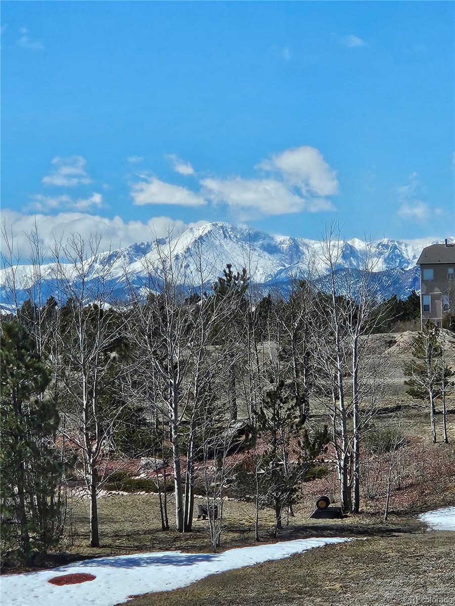 MLS Image #2 for 19150  sixpenny lane,monument, Colorado