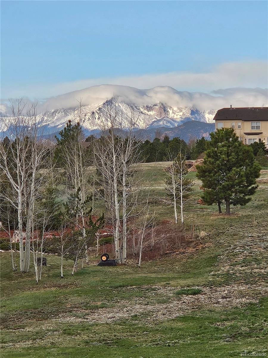 MLS Image #49 for 19150  sixpenny lane,monument, Colorado