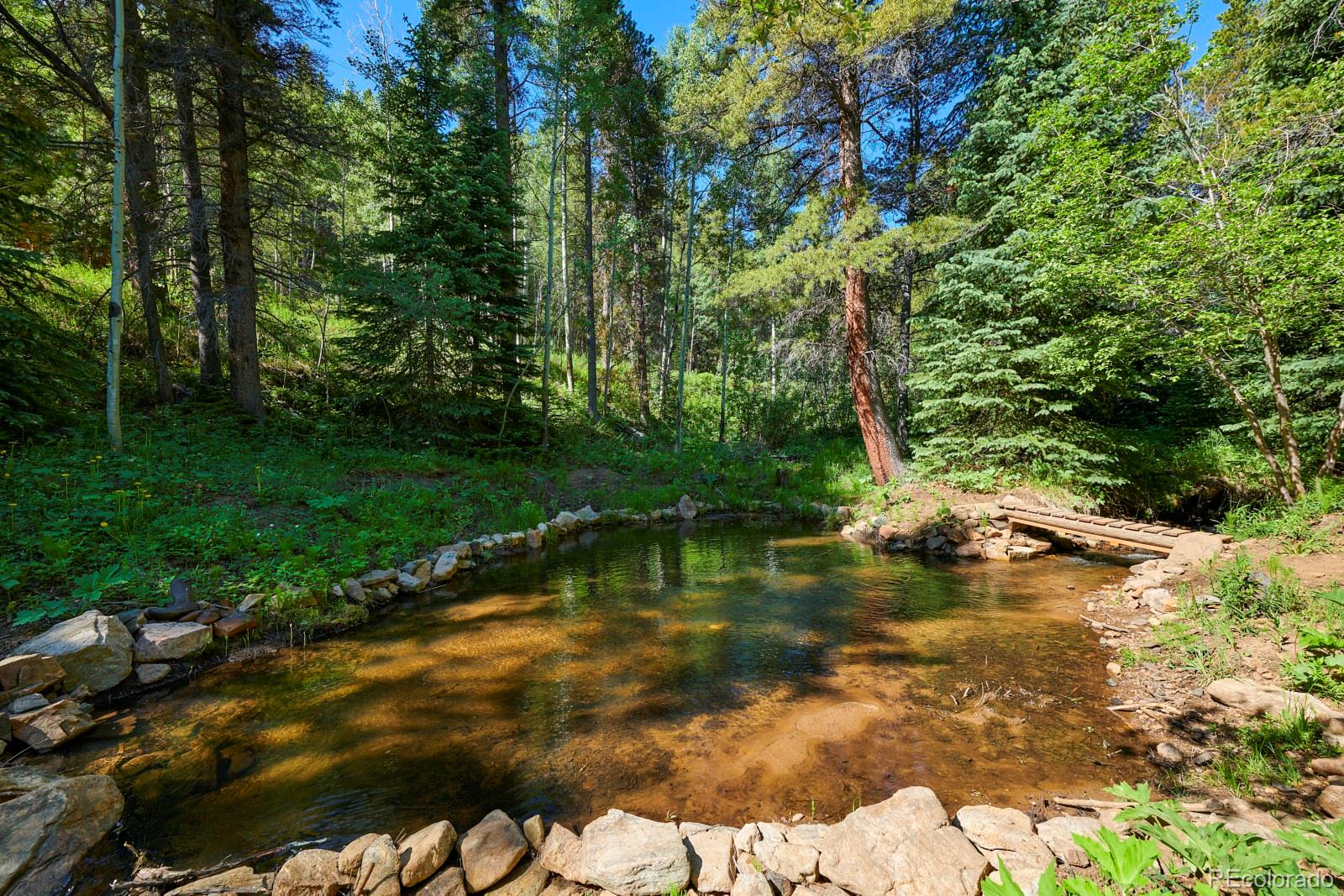 MLS Image #23 for 609  lower moon gulch road,rollinsville, Colorado