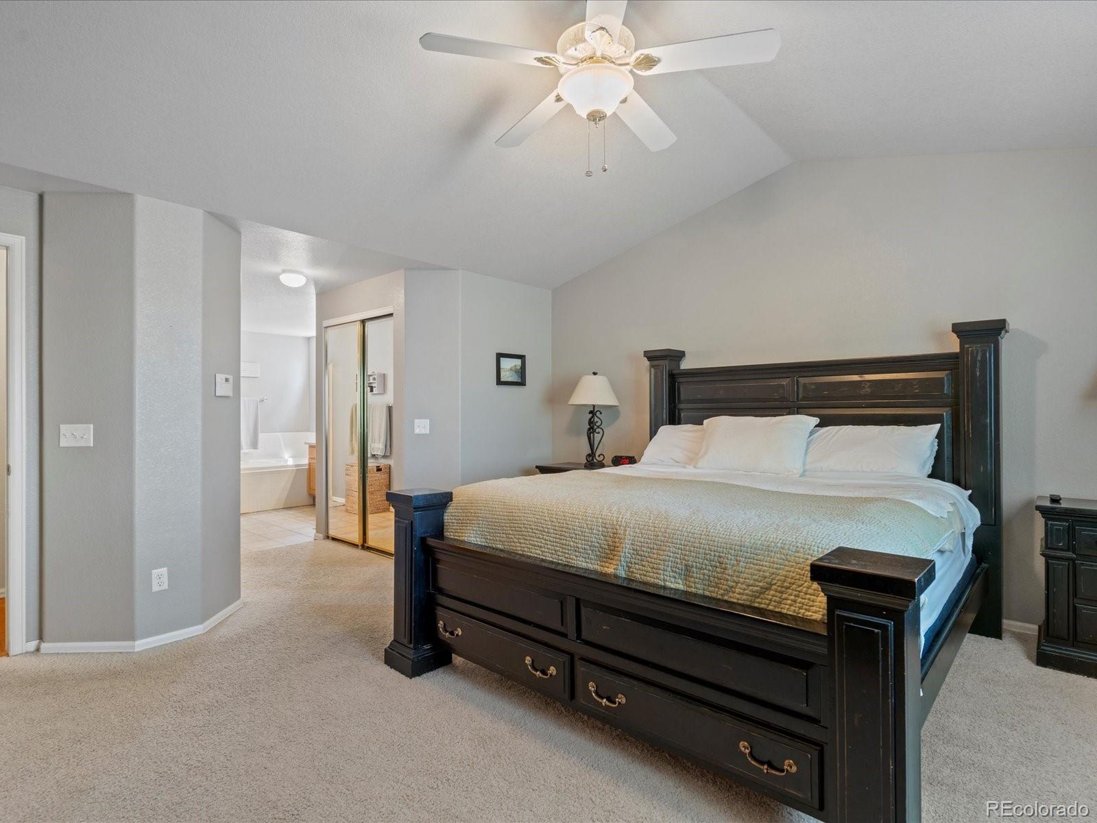 MLS Image #15 for 5401 s netherland court,centennial, Colorado