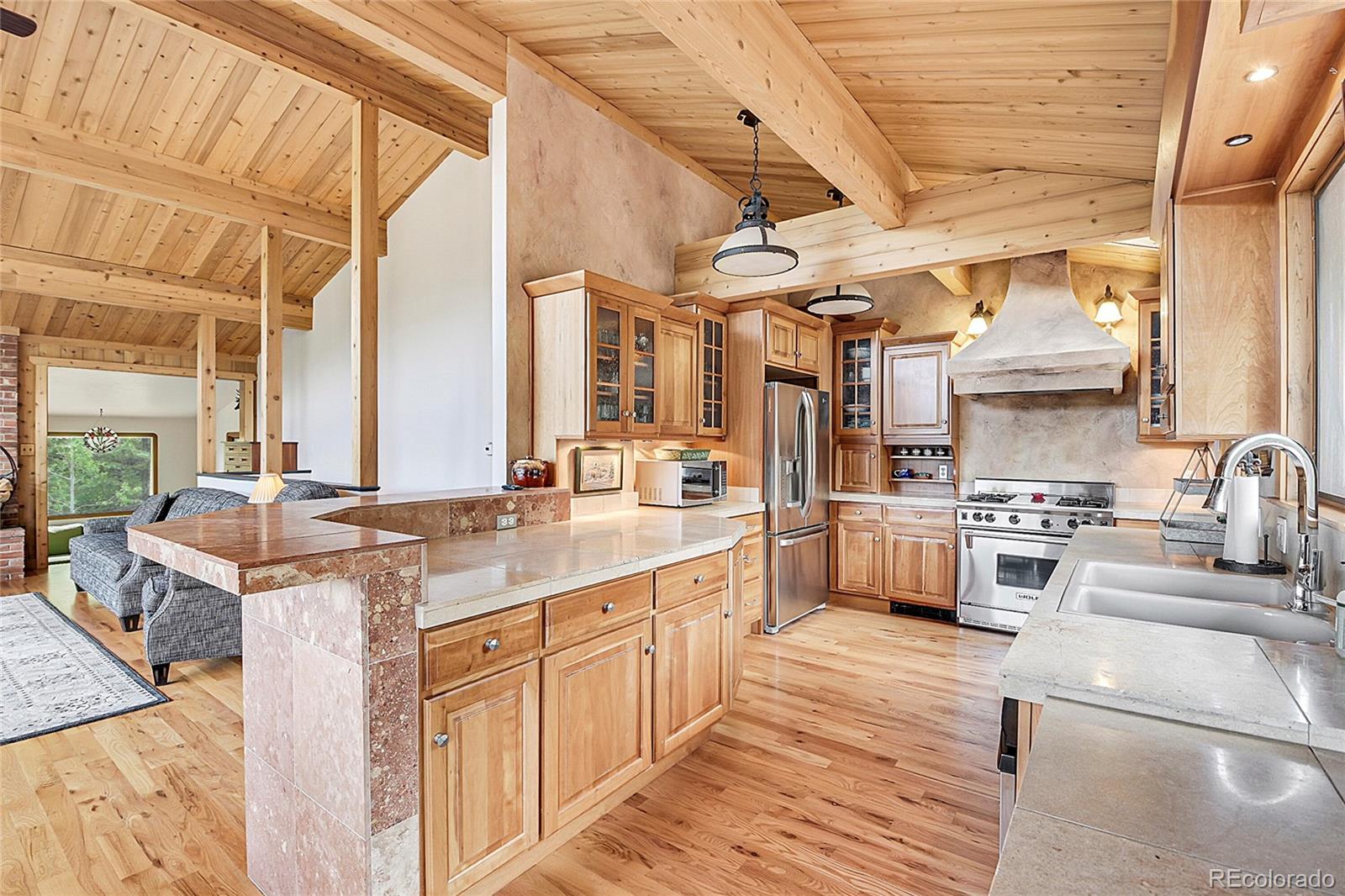 MLS Image #11 for 1774  upper bear creek road,evergreen, Colorado