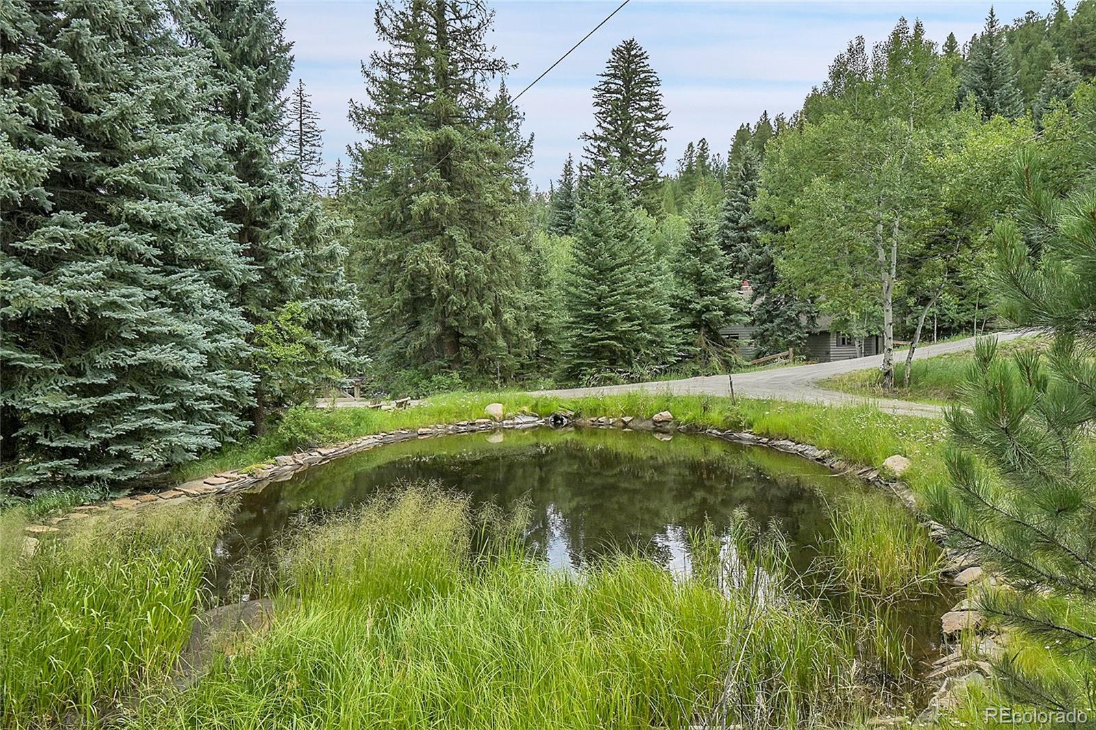 MLS Image #39 for 1774  upper bear creek road,evergreen, Colorado