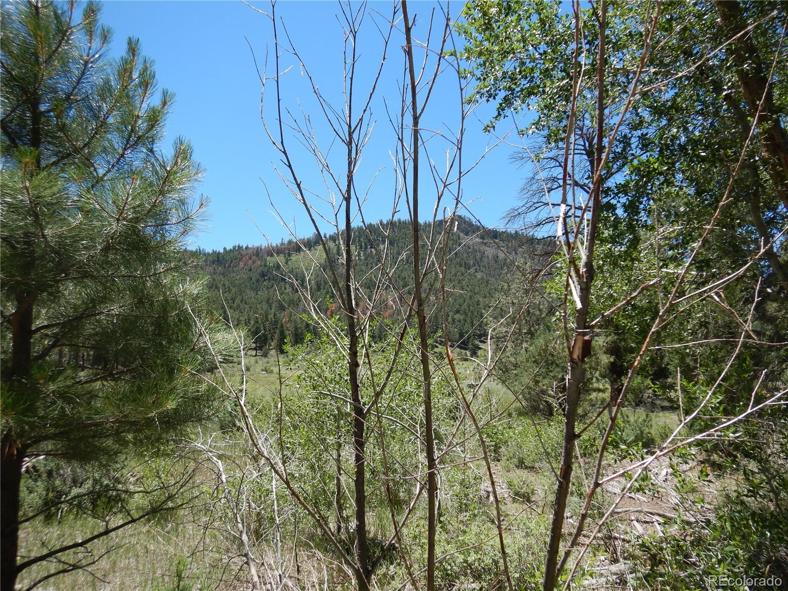 MLS Image #35 for 259  orville way,south fork, Colorado