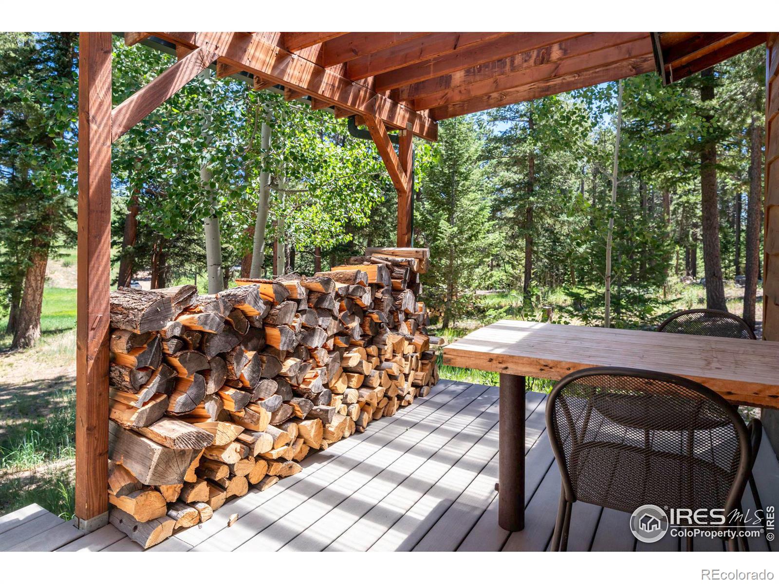 MLS Image #20 for 482  pine glade road,nederland, Colorado