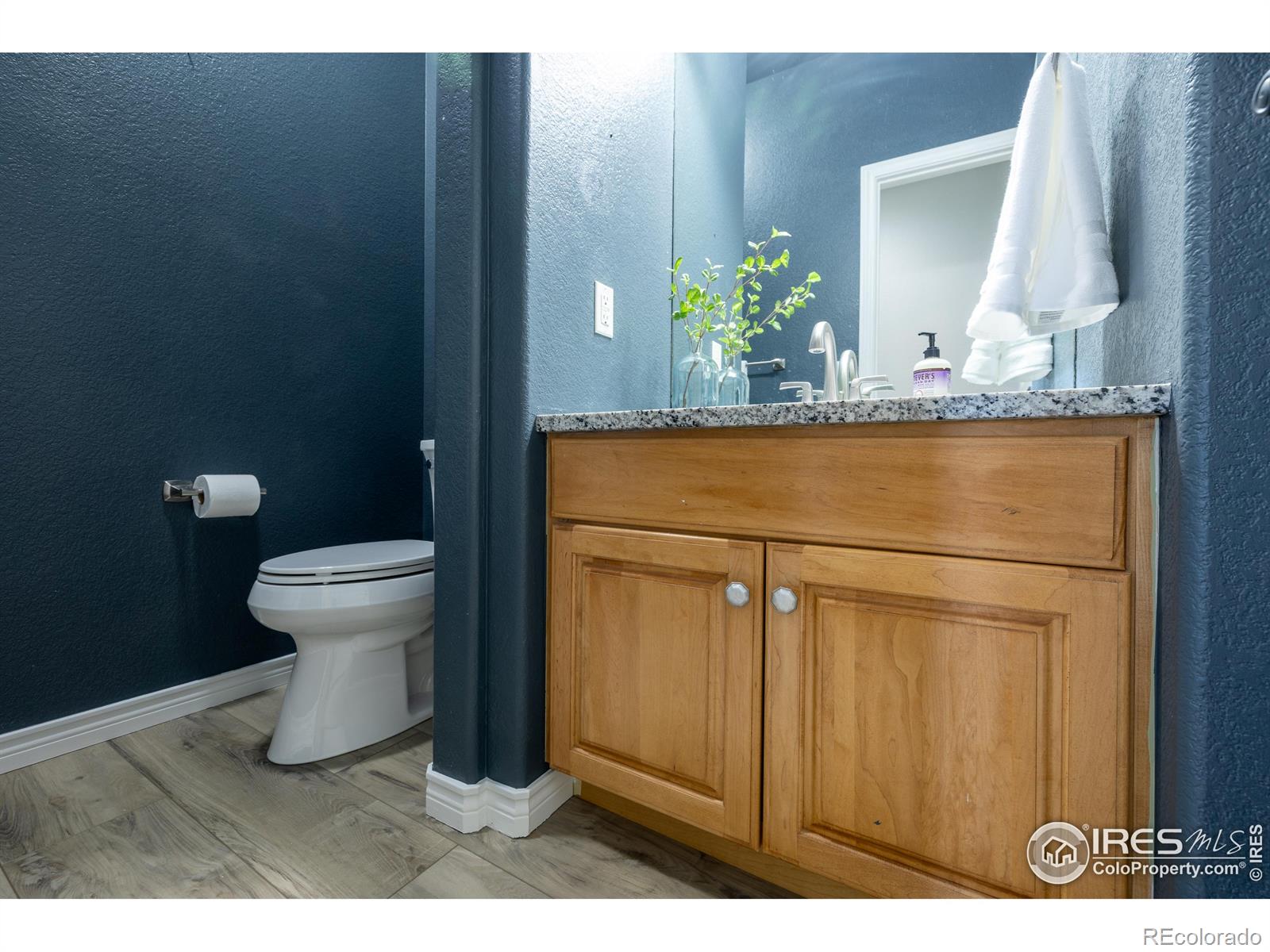 MLS Image #11 for 311  himalaya avenue,broomfield, Colorado