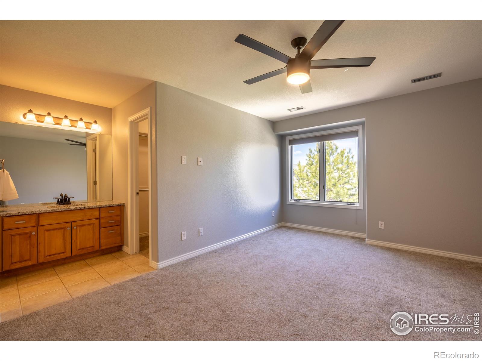 MLS Image #26 for 311  himalaya avenue,broomfield, Colorado