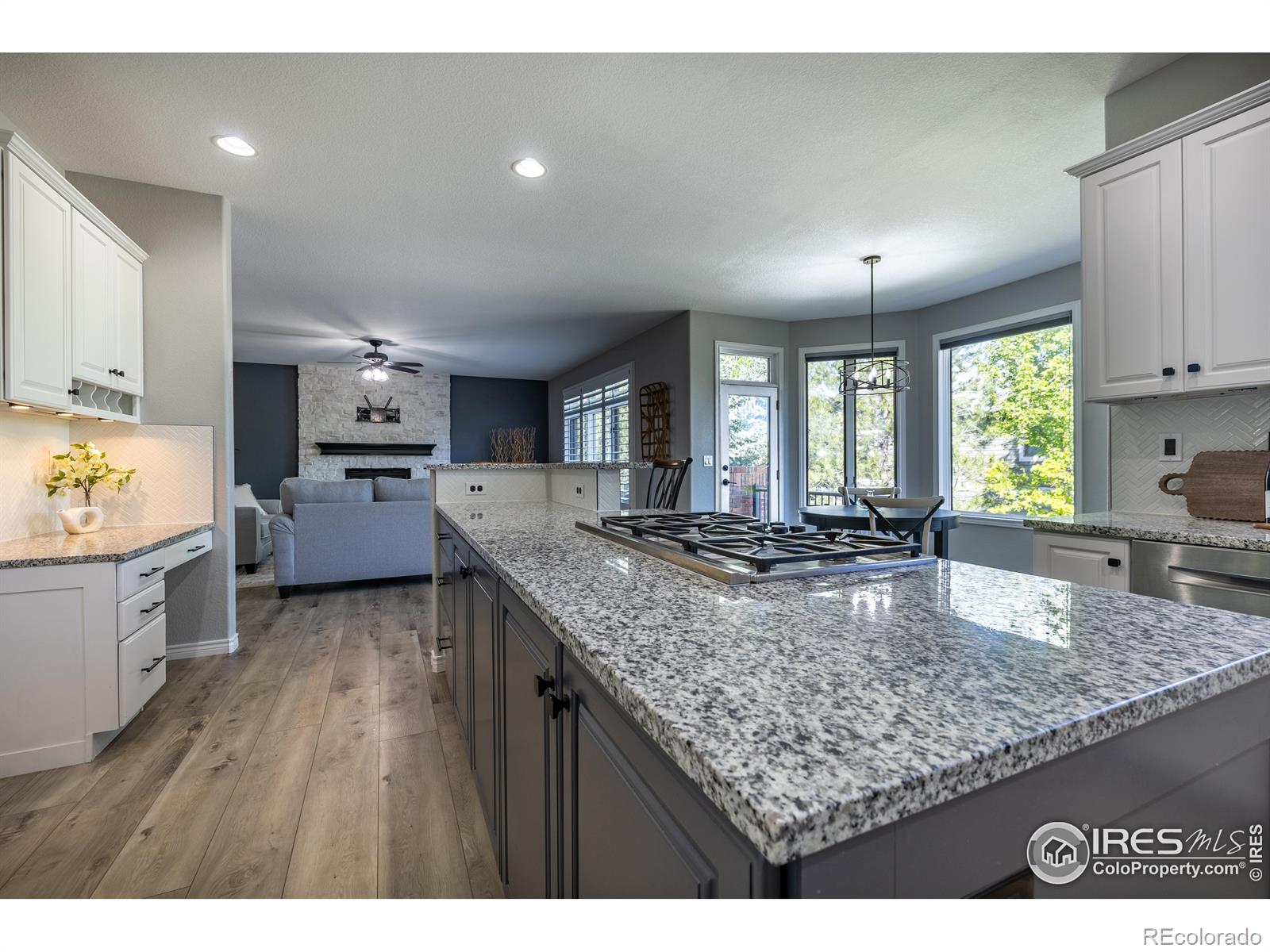 MLS Image #9 for 311  himalaya avenue,broomfield, Colorado