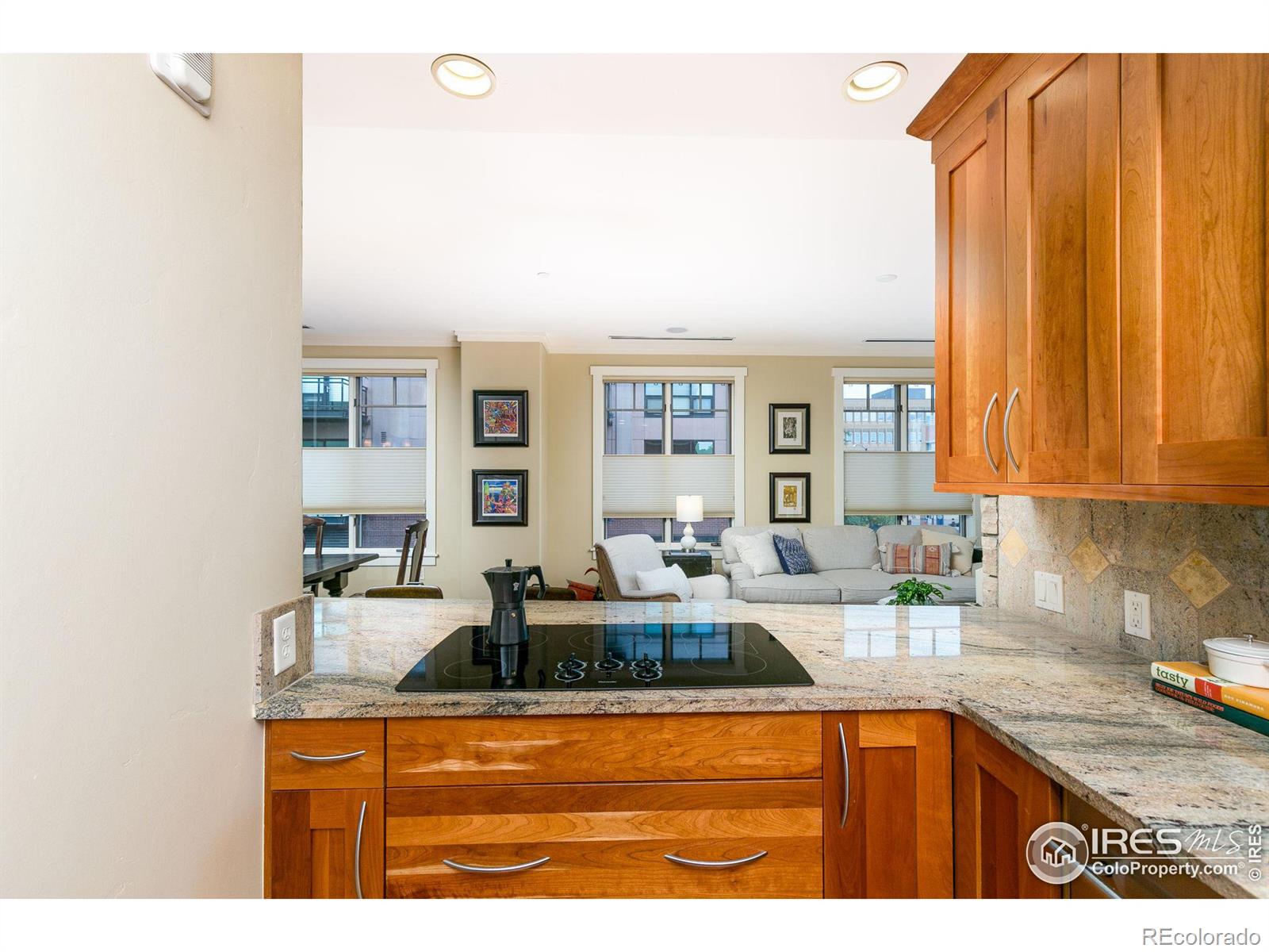 MLS Image #4 for 1301  canyon boulevard,boulder, Colorado