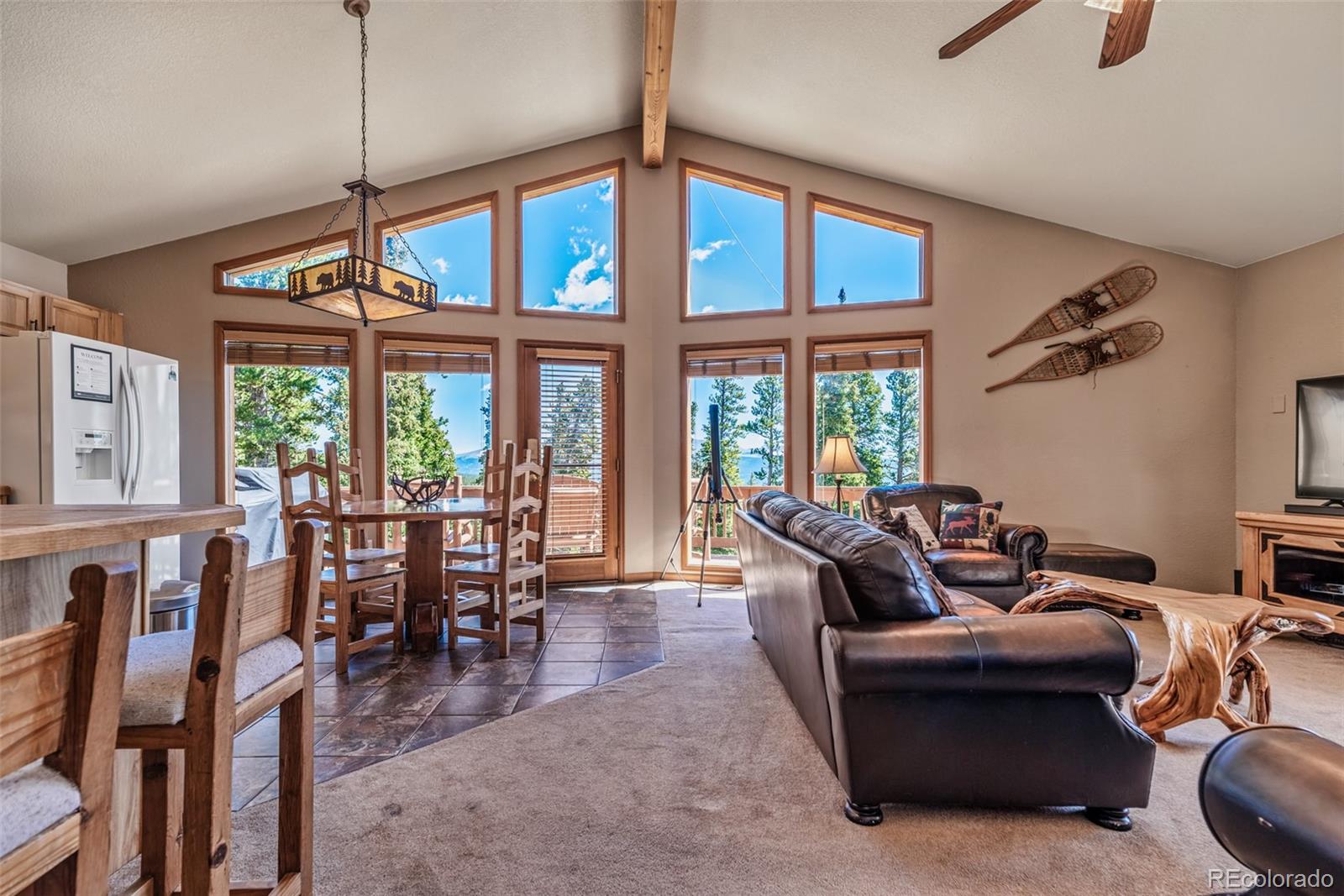 MLS Image #10 for 761  bobcat lane,fairplay, Colorado