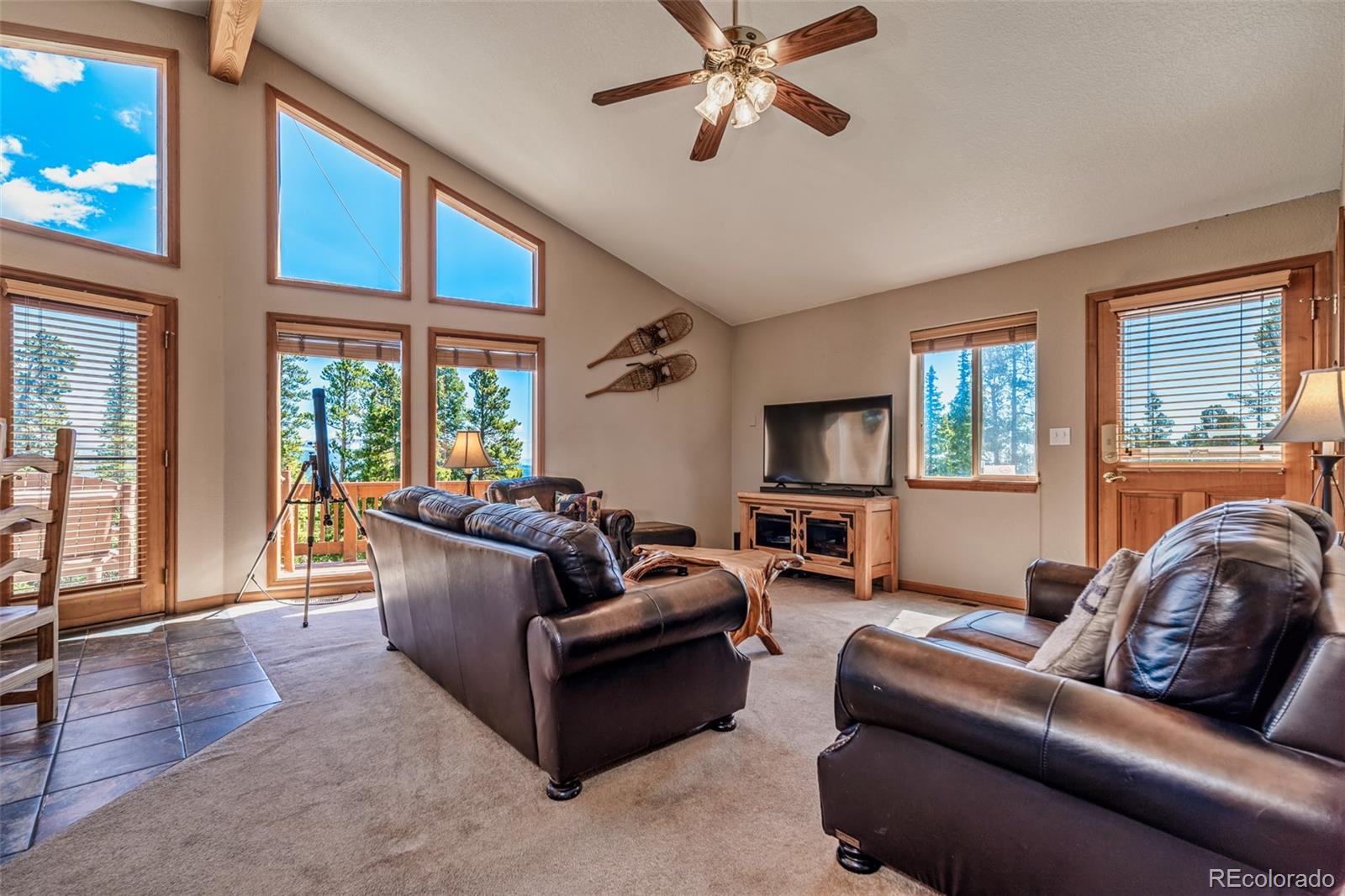 MLS Image #11 for 761  bobcat lane,fairplay, Colorado