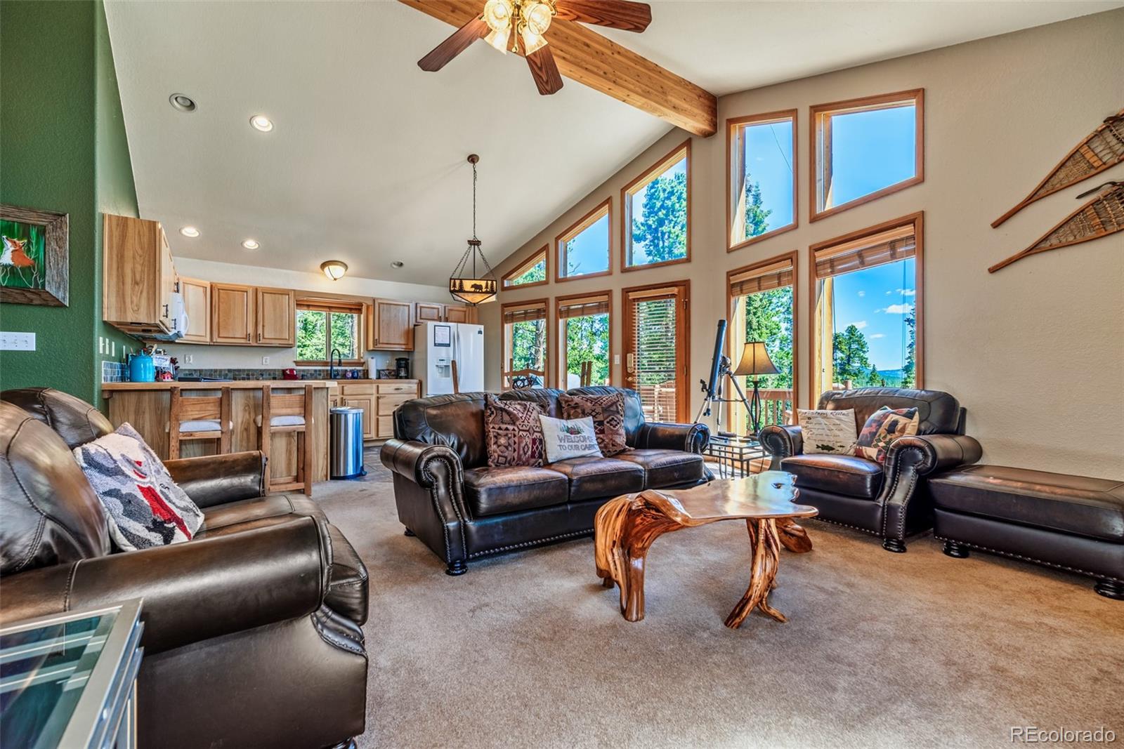 MLS Image #19 for 761  bobcat lane,fairplay, Colorado