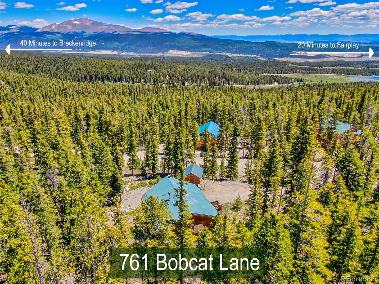 MLS Image #2 for 761  bobcat lane,fairplay, Colorado