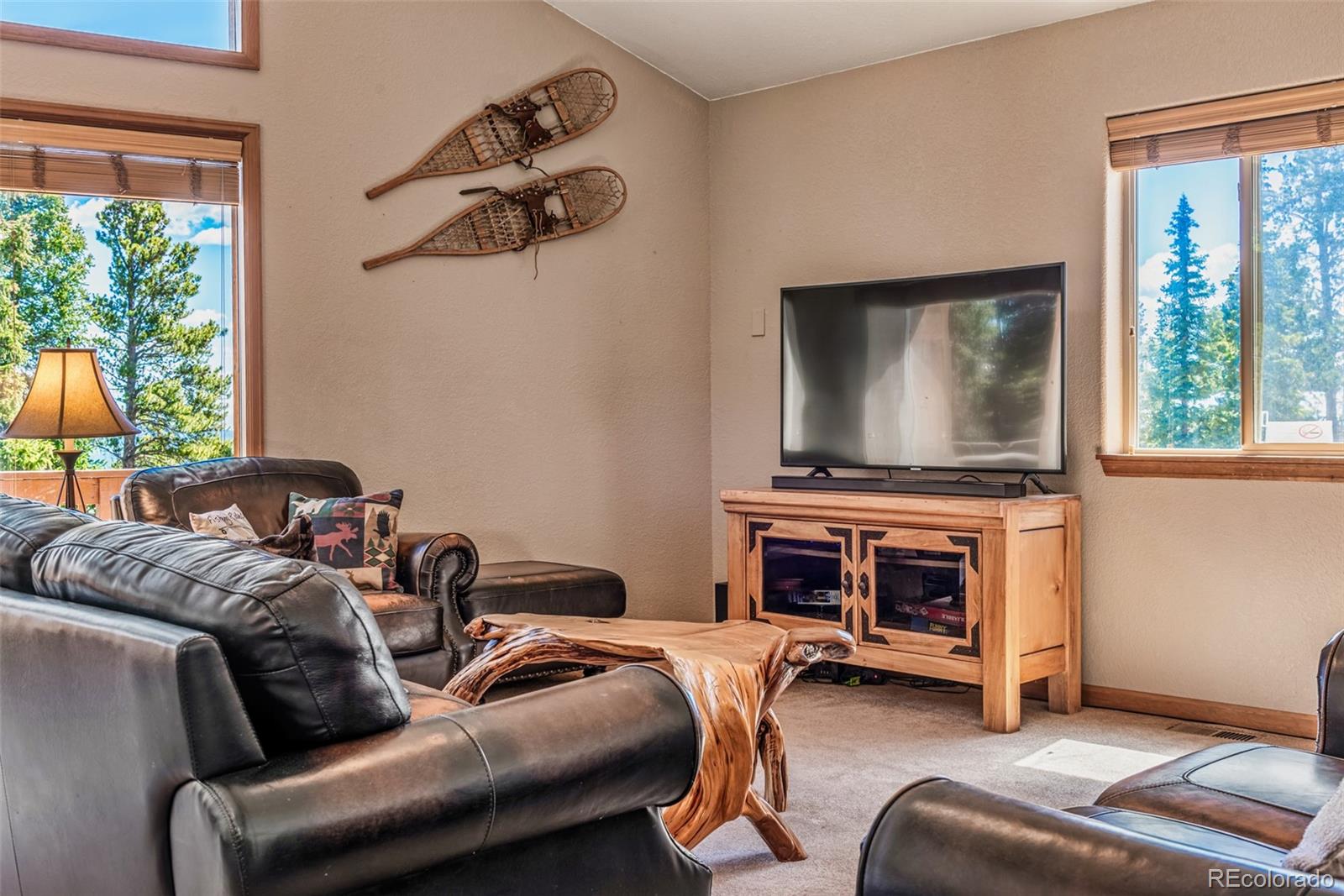 MLS Image #20 for 761  bobcat lane,fairplay, Colorado