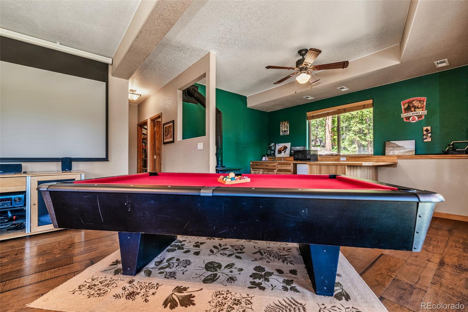 MLS Image #24 for 761  bobcat lane,fairplay, Colorado