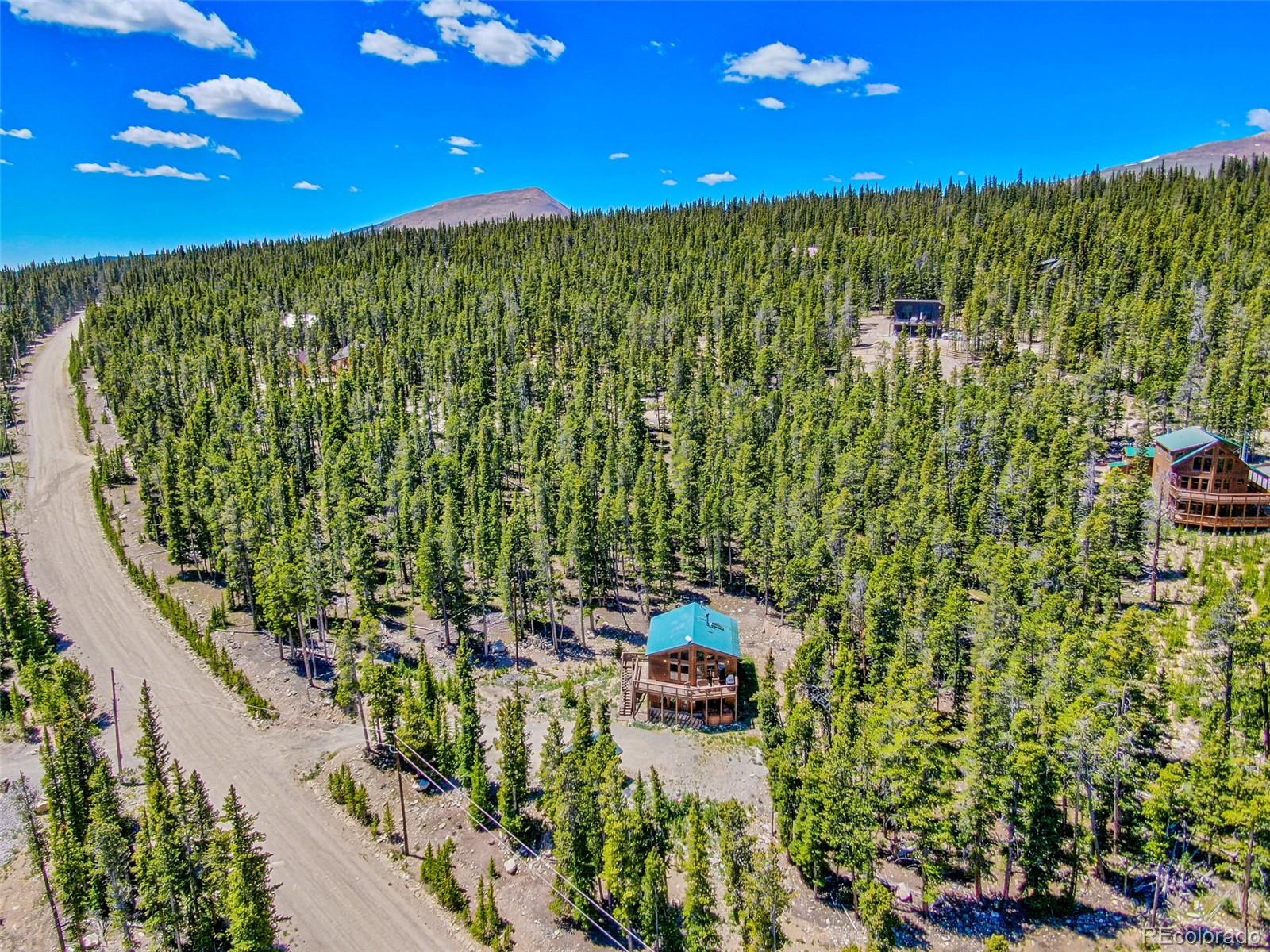 MLS Image #3 for 761  bobcat lane,fairplay, Colorado