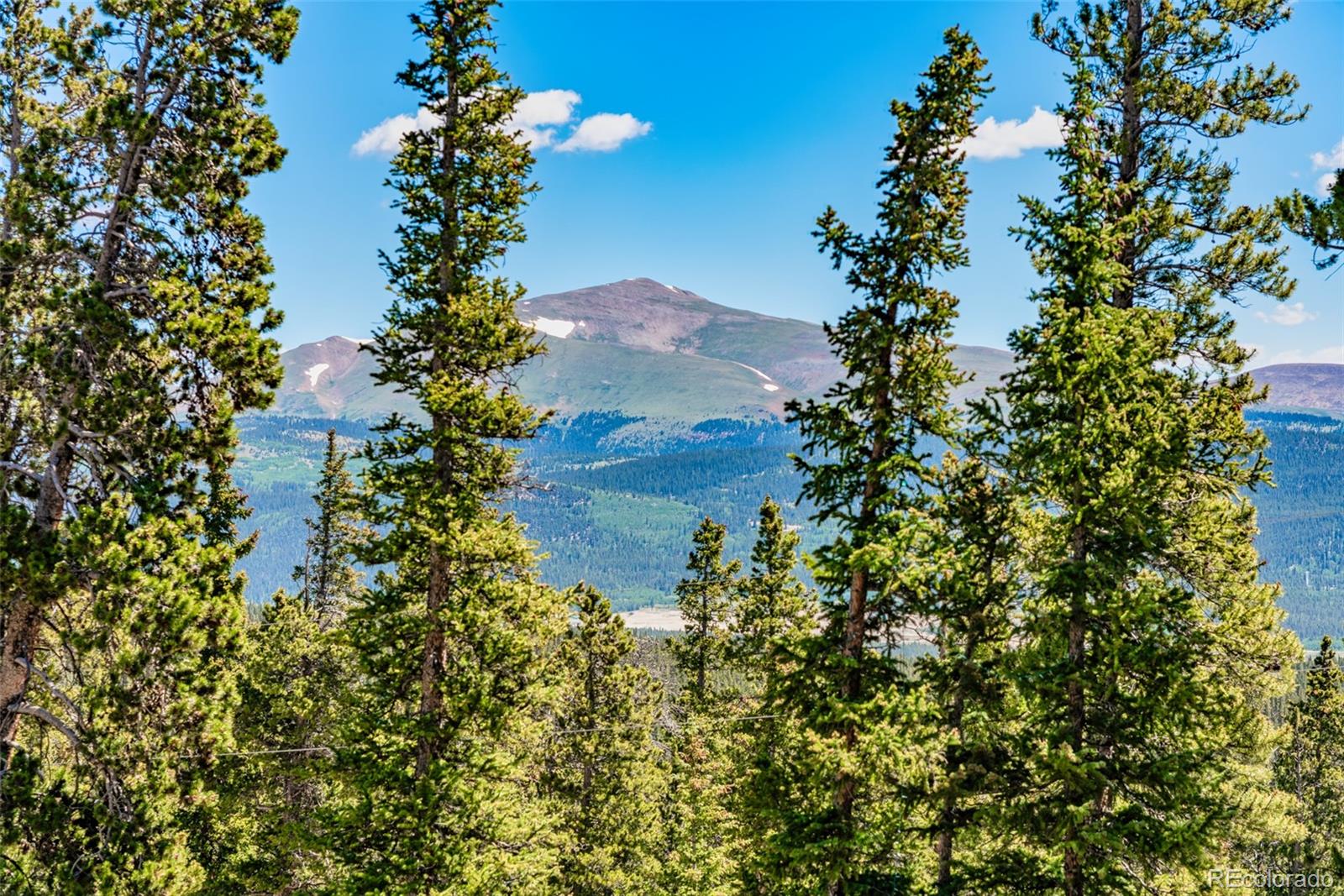 MLS Image #6 for 761  bobcat lane,fairplay, Colorado