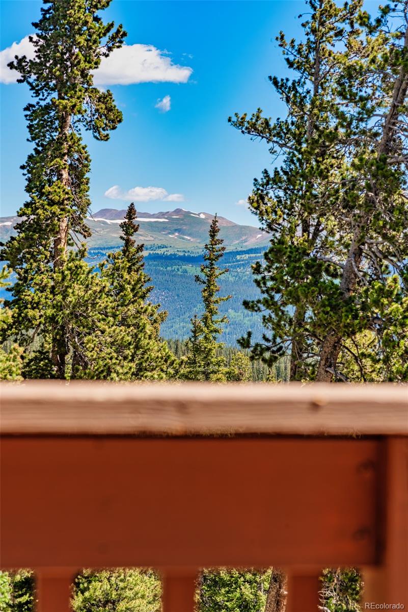 MLS Image #7 for 761  bobcat lane,fairplay, Colorado