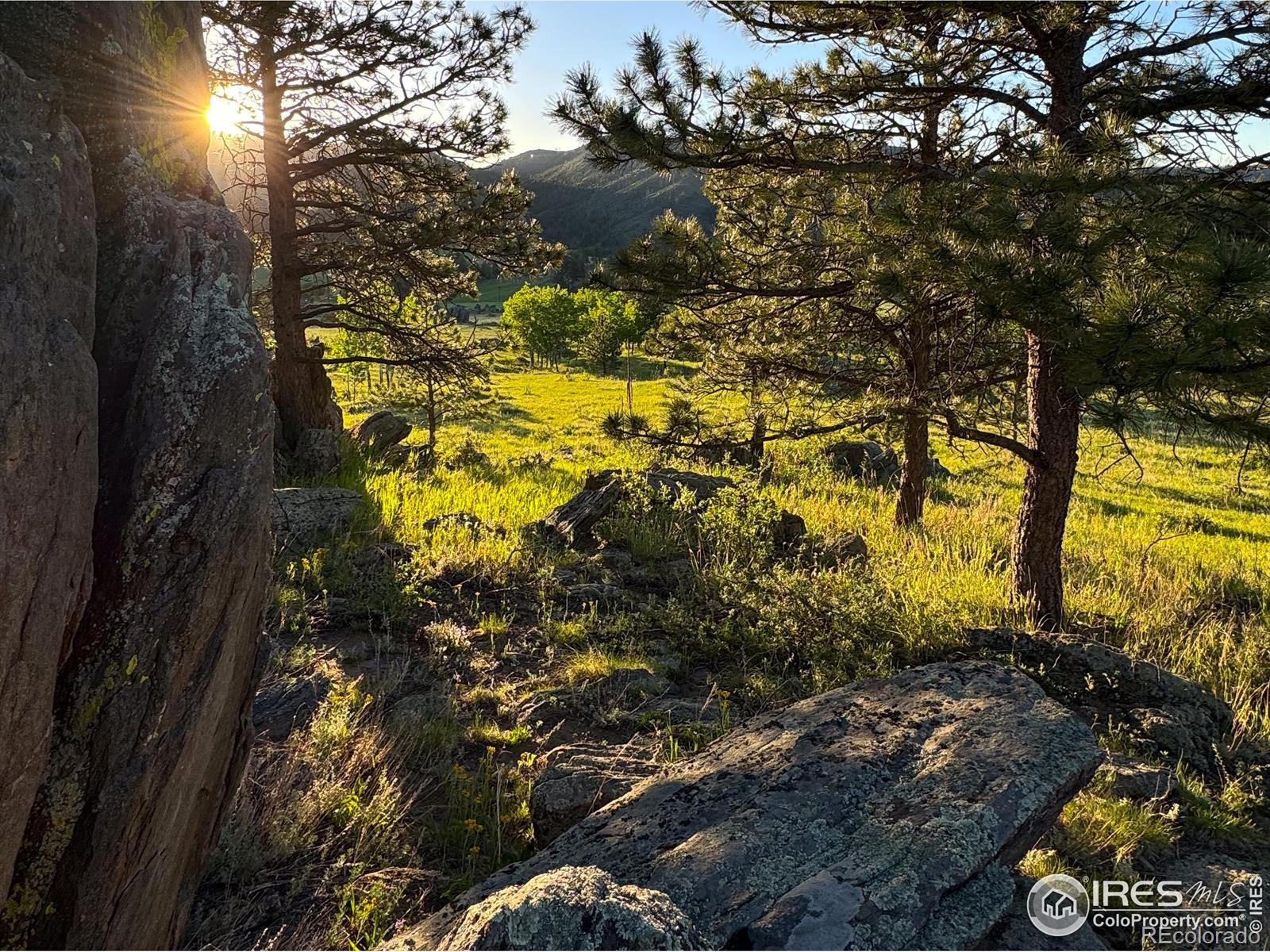 MLS Image #29 for 9200  old flowers road,bellvue, Colorado