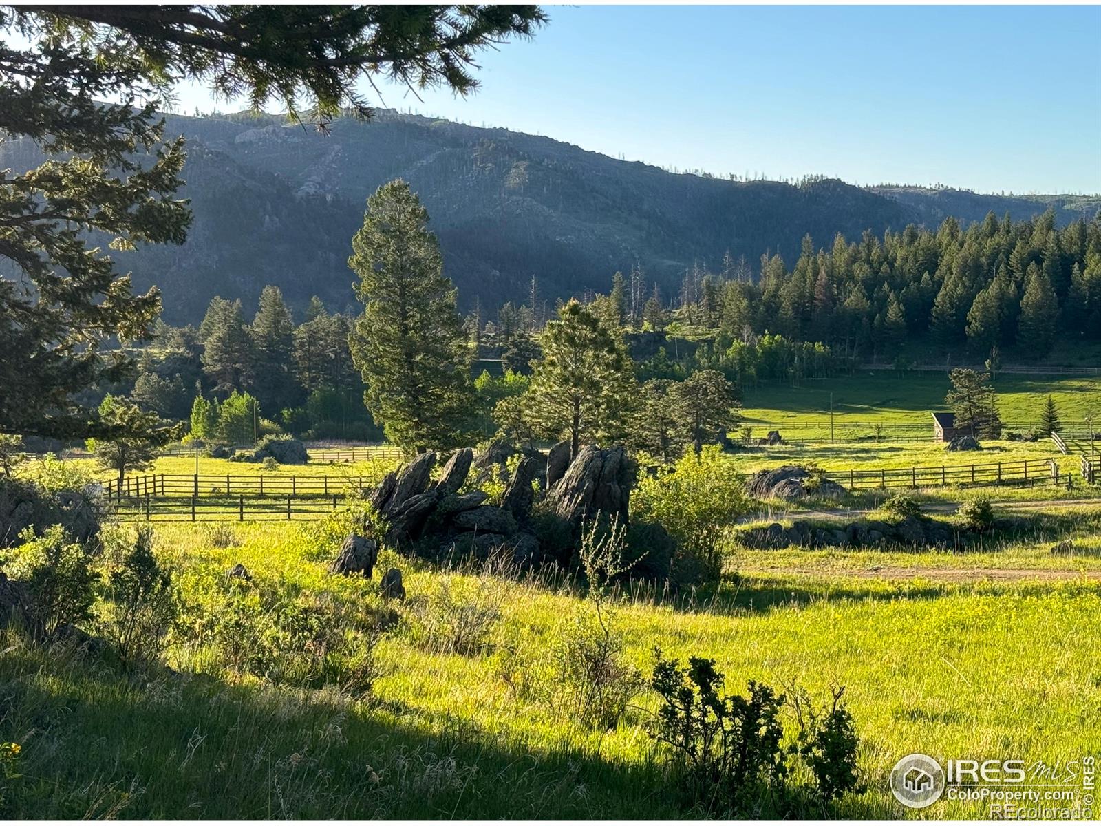 MLS Image #30 for 9200  old flowers road,bellvue, Colorado