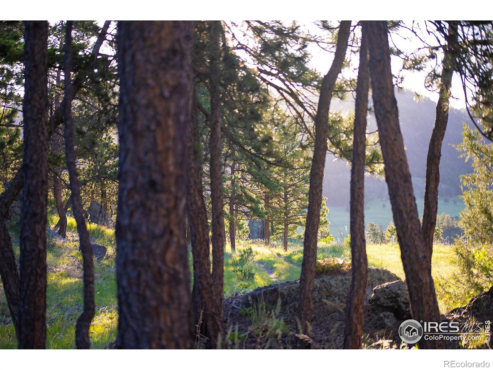 MLS Image #31 for 9200  old flowers road,bellvue, Colorado