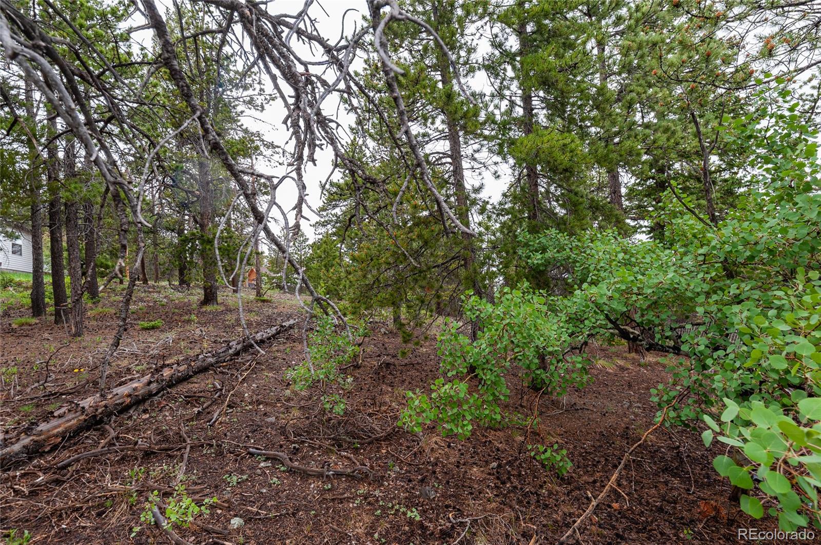 MLS Image #10 for 20  outlook drive,golden, Colorado