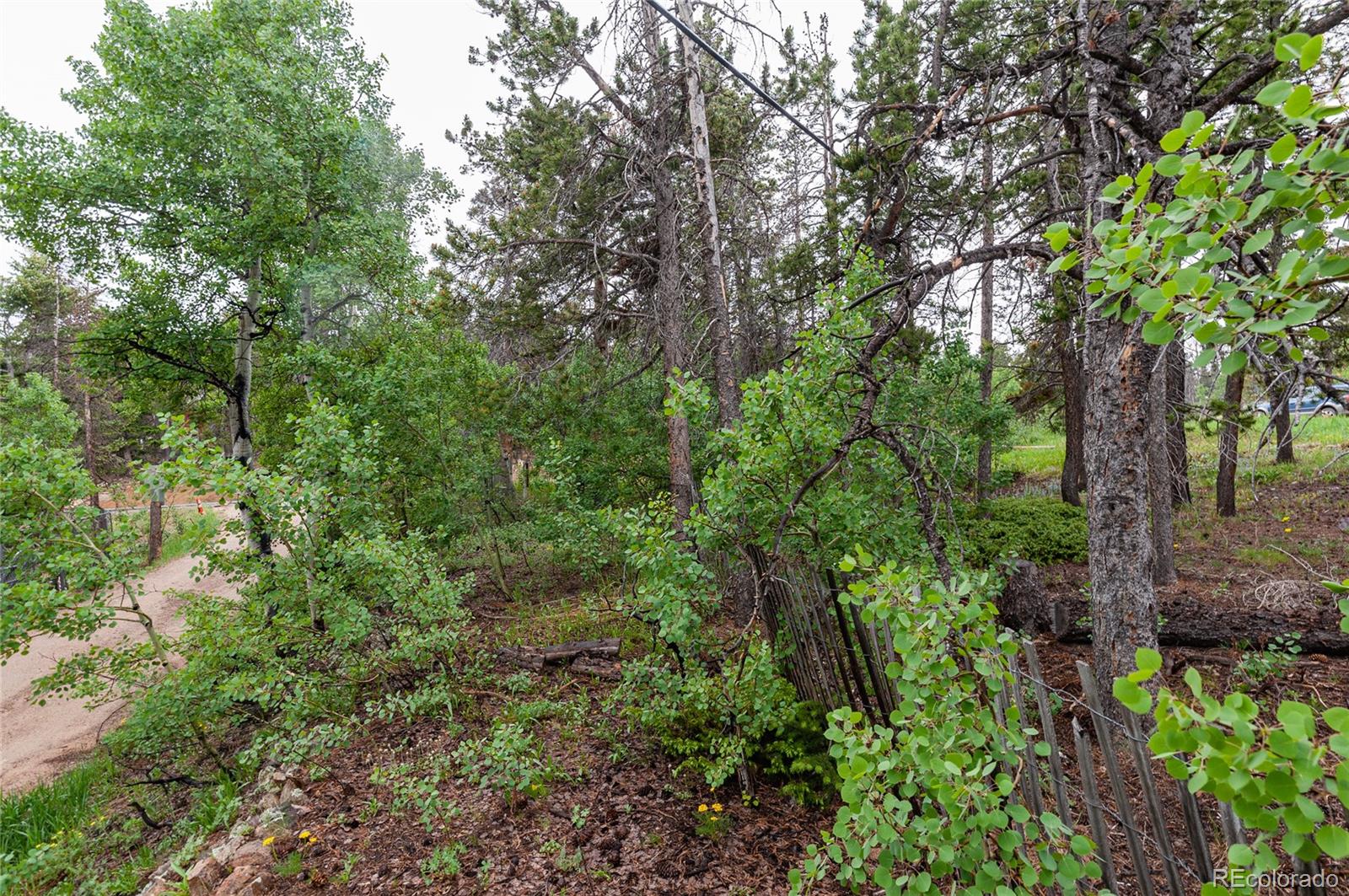 MLS Image #12 for 20  outlook drive,golden, Colorado