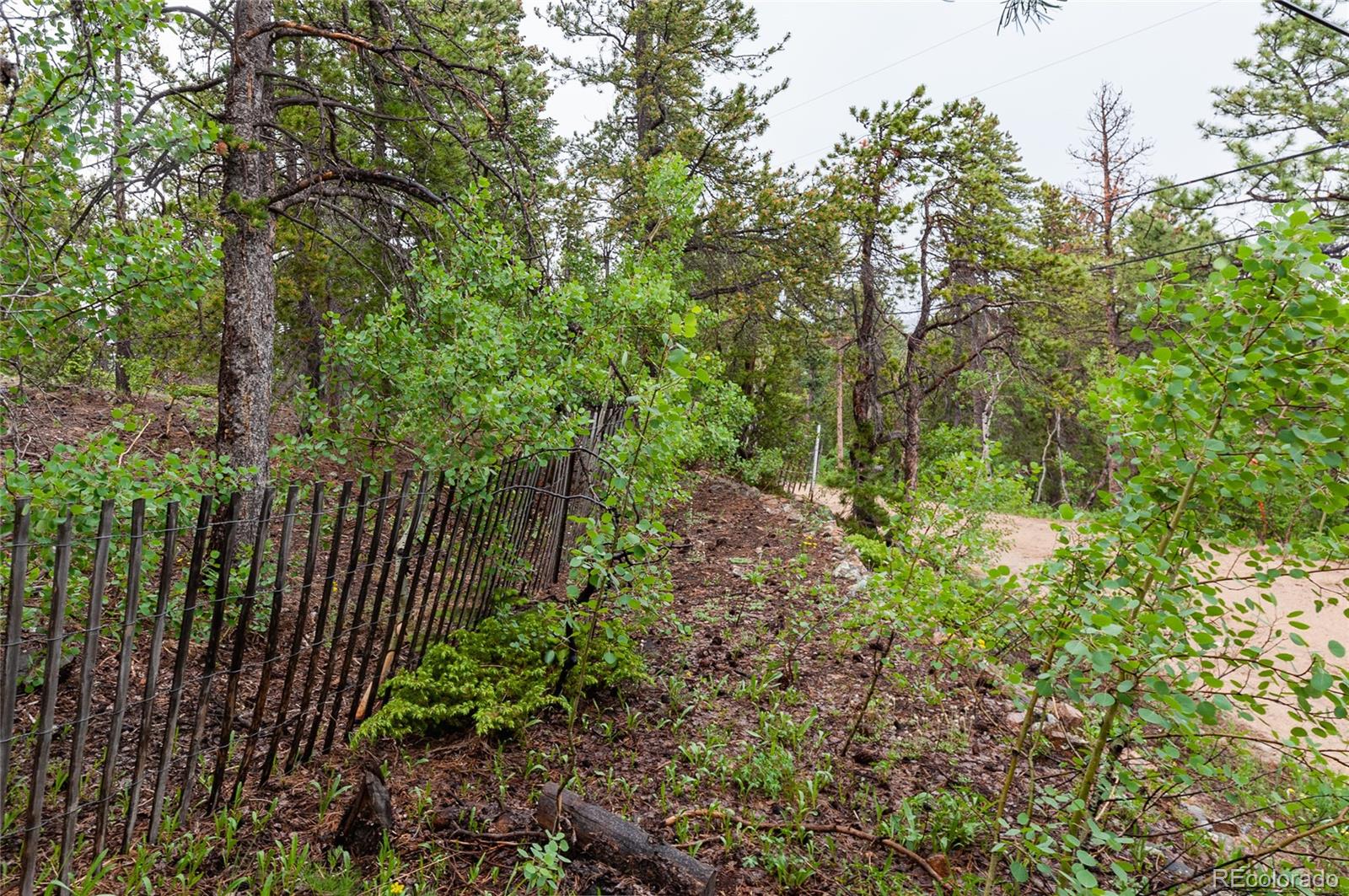 MLS Image #13 for 20  outlook drive,golden, Colorado