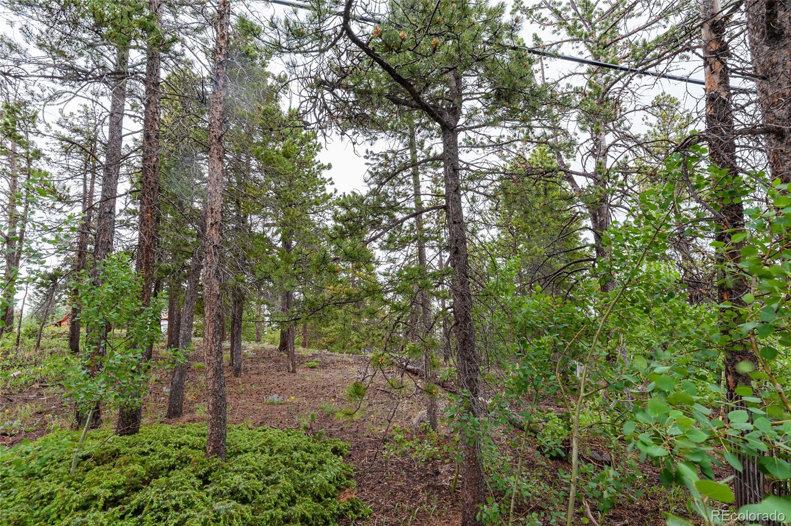 MLS Image #14 for 20  outlook drive,golden, Colorado