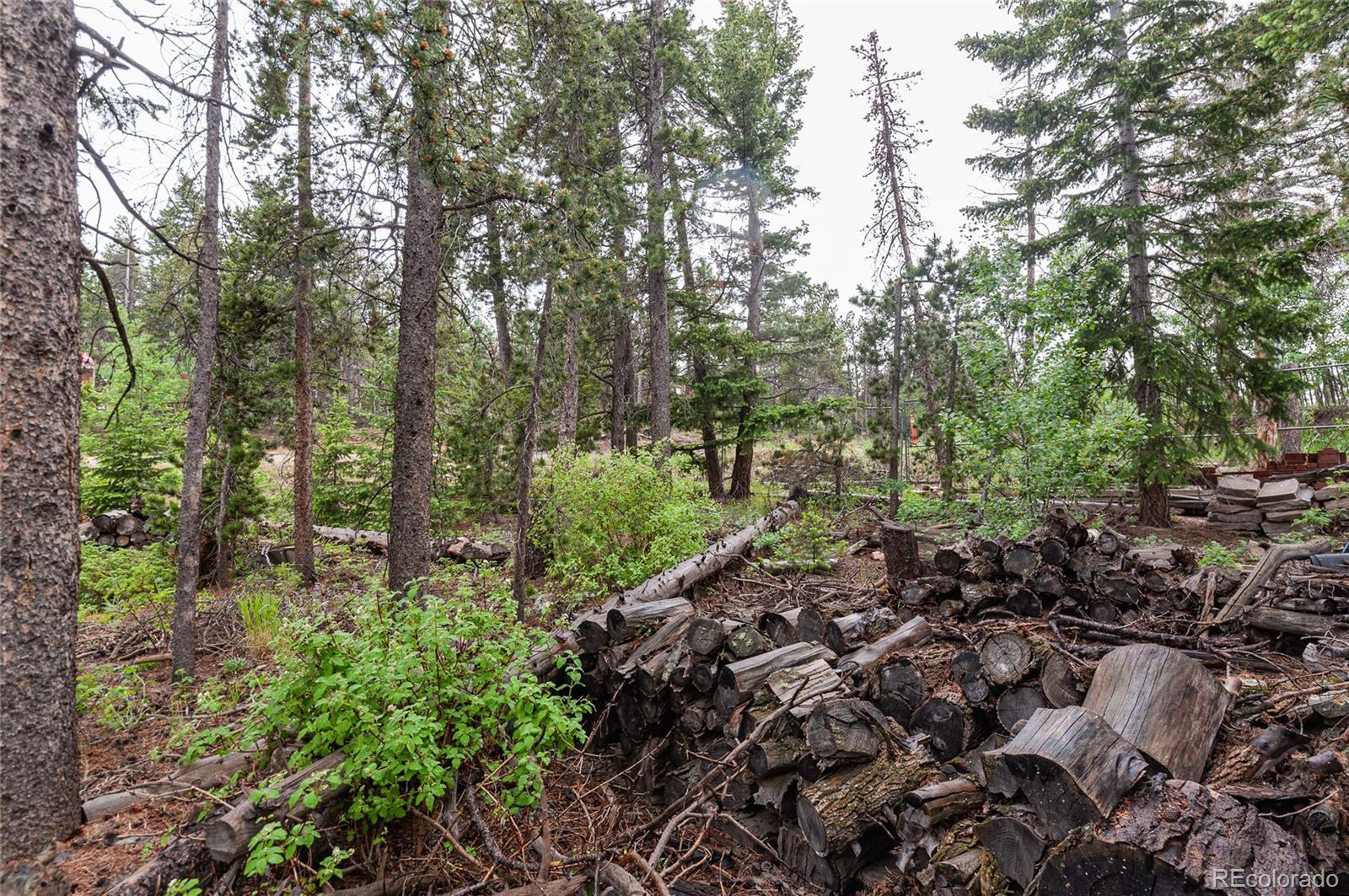 MLS Image #3 for 20  outlook drive,golden, Colorado