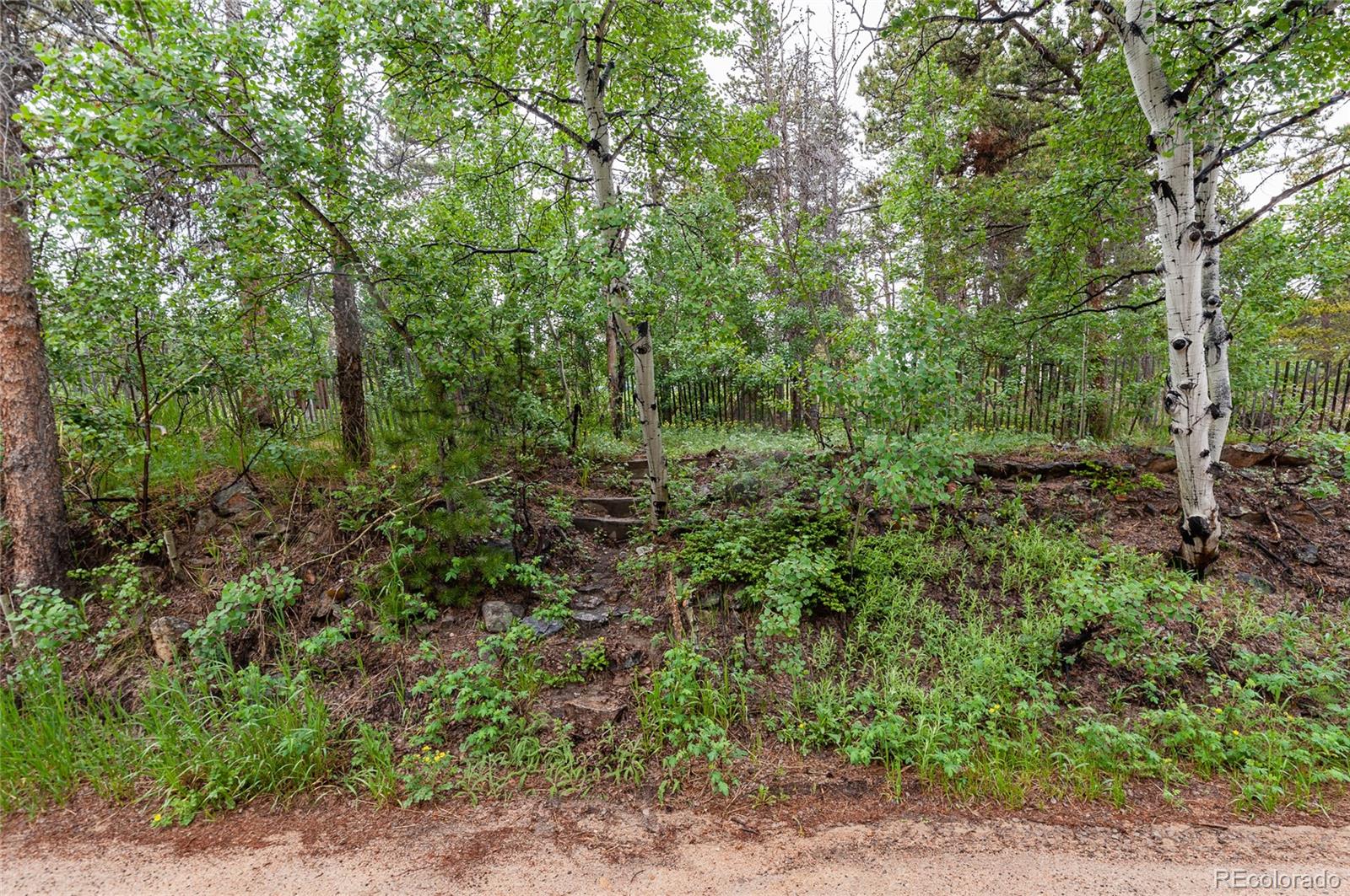 MLS Image #9 for 20  outlook drive,golden, Colorado