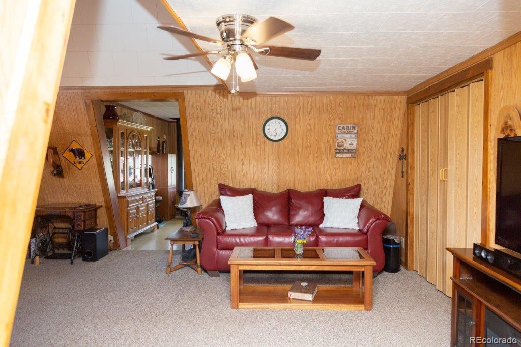 MLS Image #11 for 411 w spruce drive,creede, Colorado