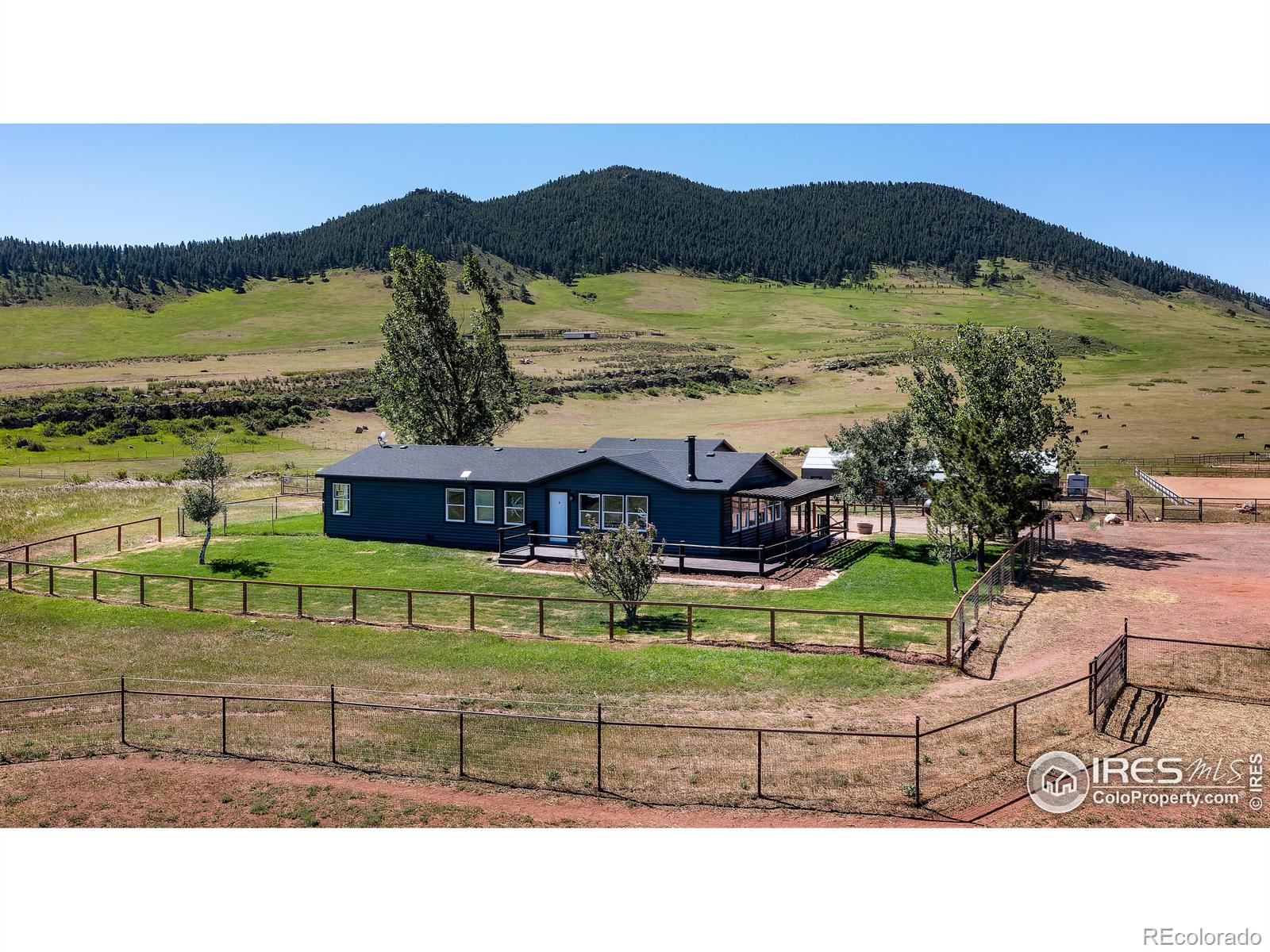 CMA Image for 689  Cattle Drive Road,Loveland, Colorado