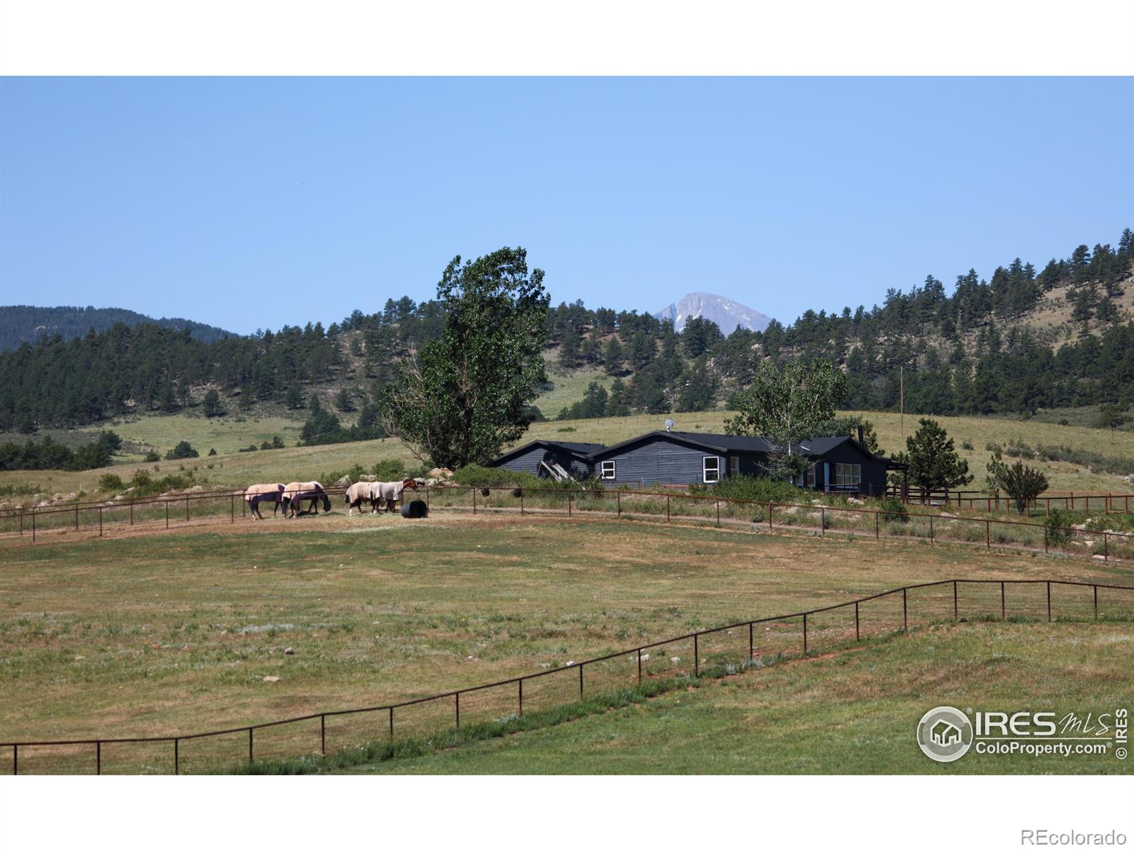 MLS Image #32 for 689  cattle drive road,loveland, Colorado