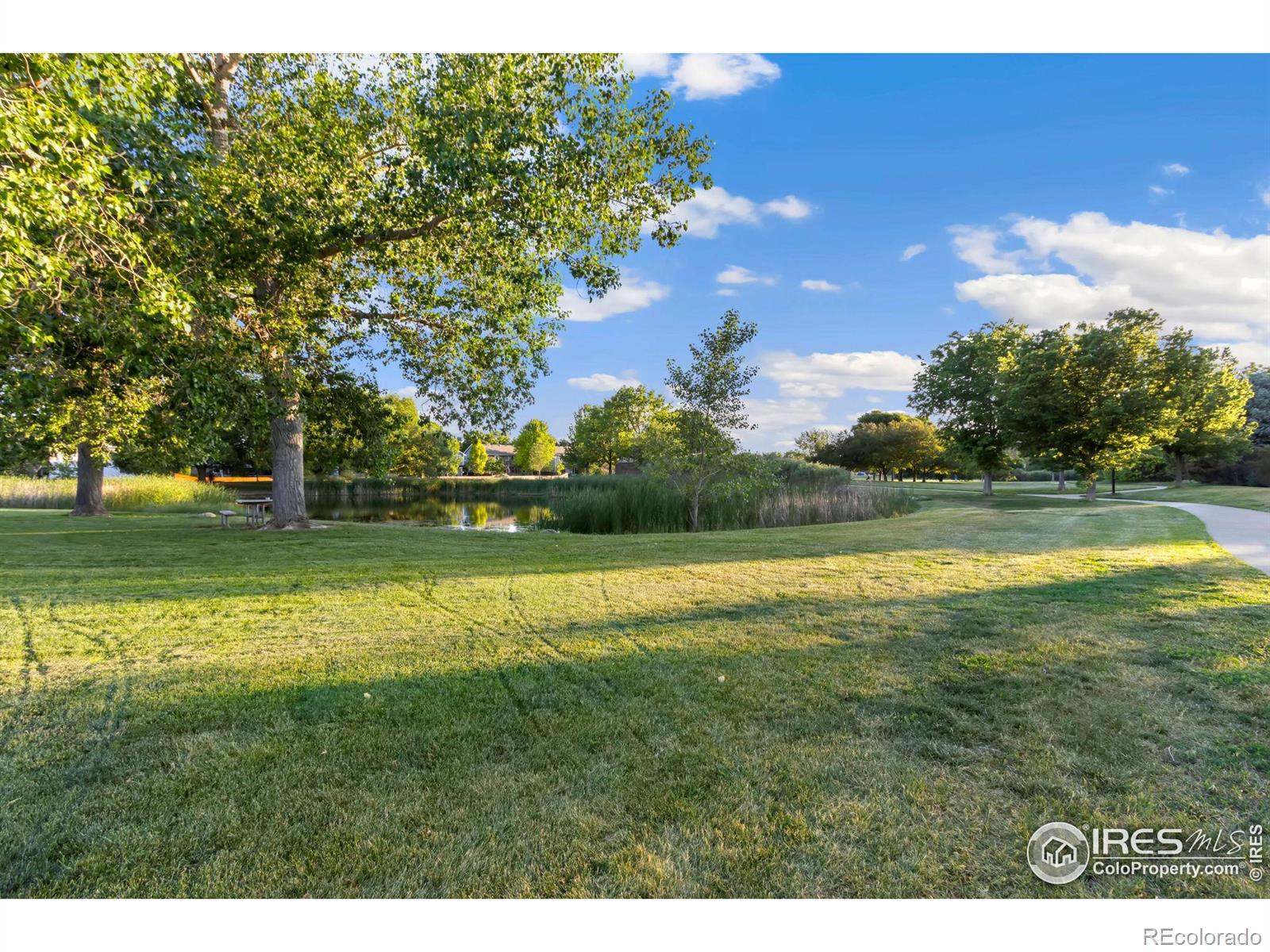 MLS Image #25 for 4006  sunstone drive,fort collins, Colorado