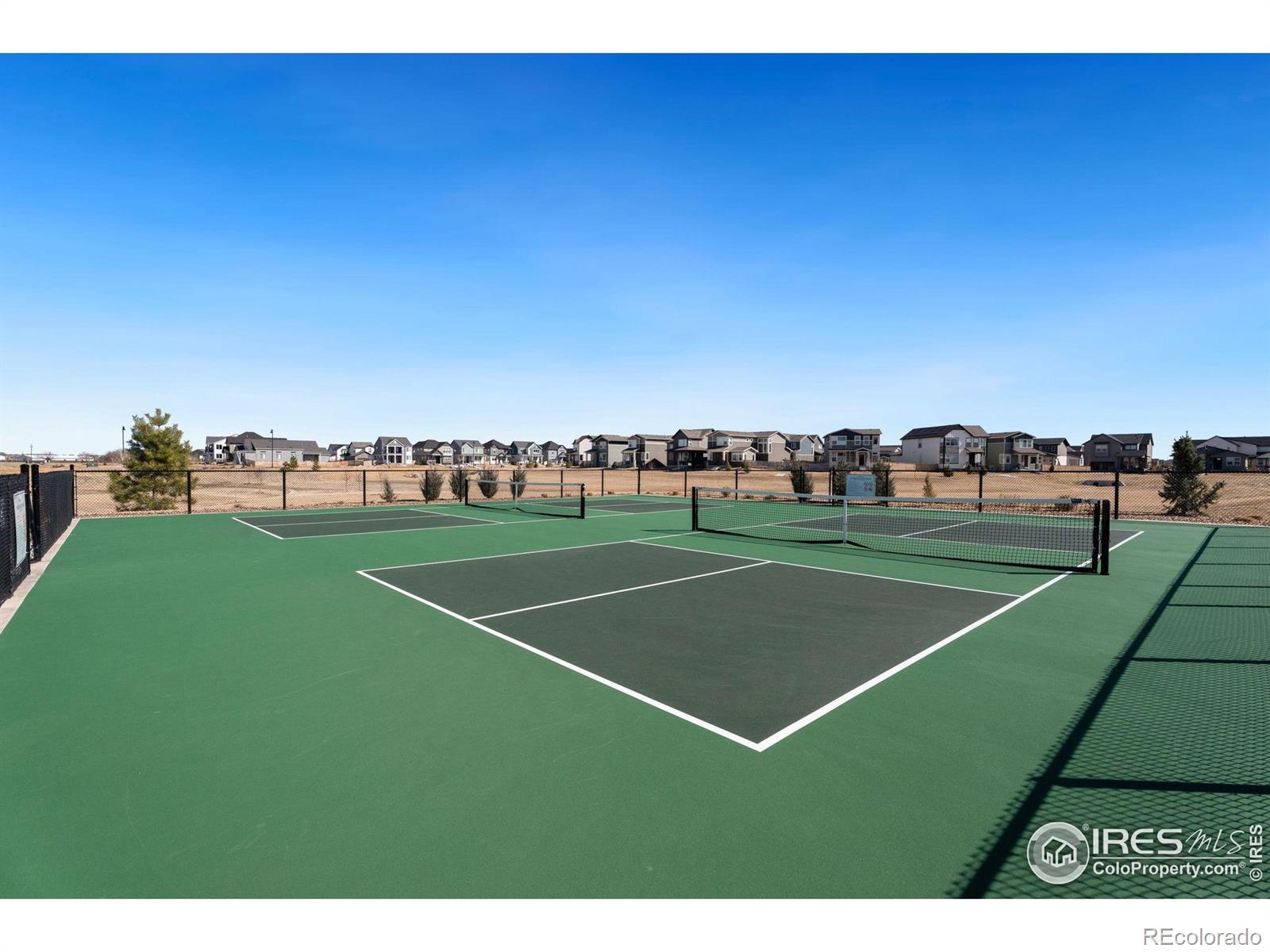 MLS Image #29 for 5724  jedidiah drive,timnath, Colorado