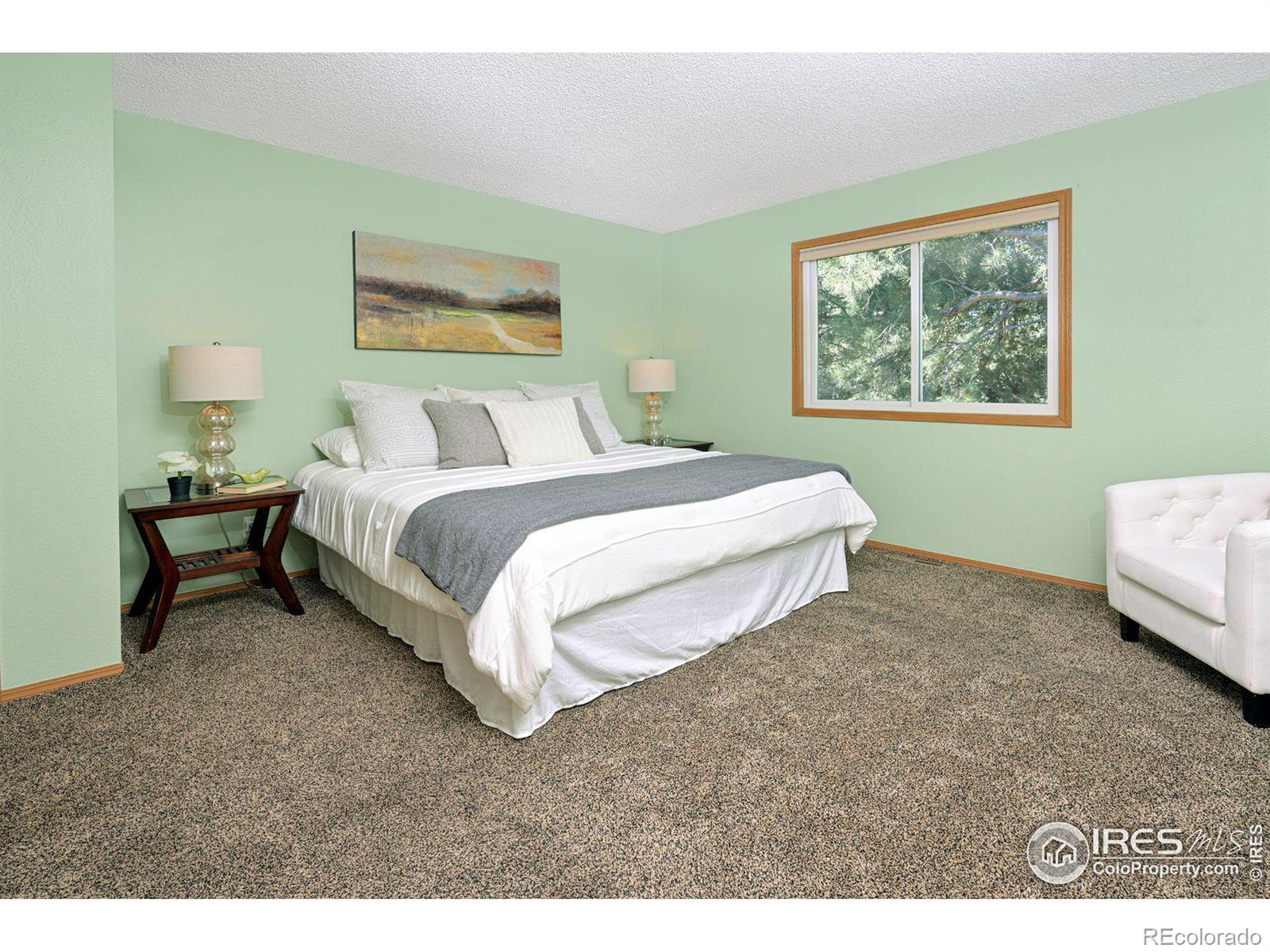 MLS Image #10 for 253  wadsworth circle,longmont, Colorado