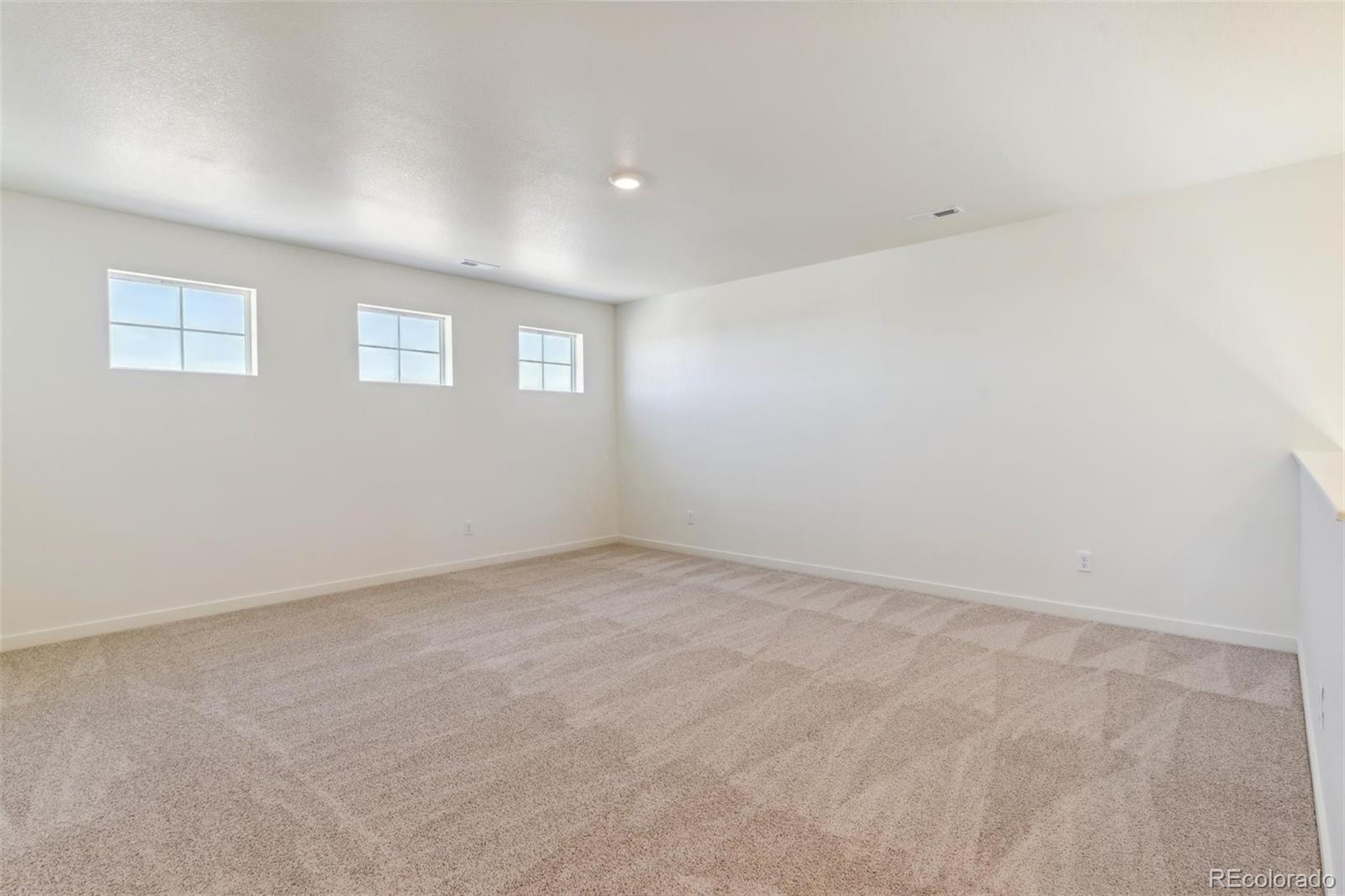 MLS Image #14 for 5010  abigar street,windsor, Colorado