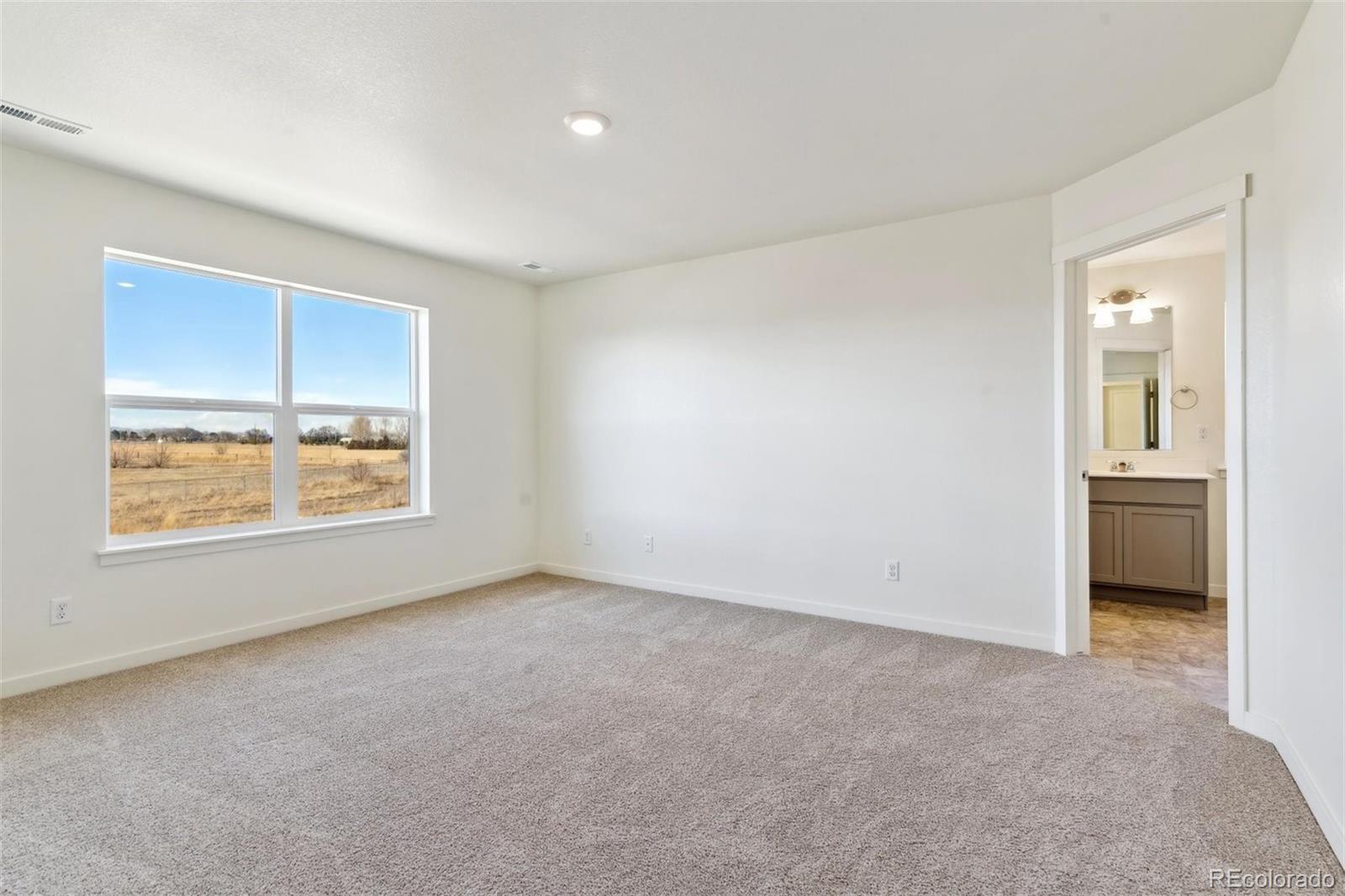 MLS Image #21 for 5010  abigar street,windsor, Colorado