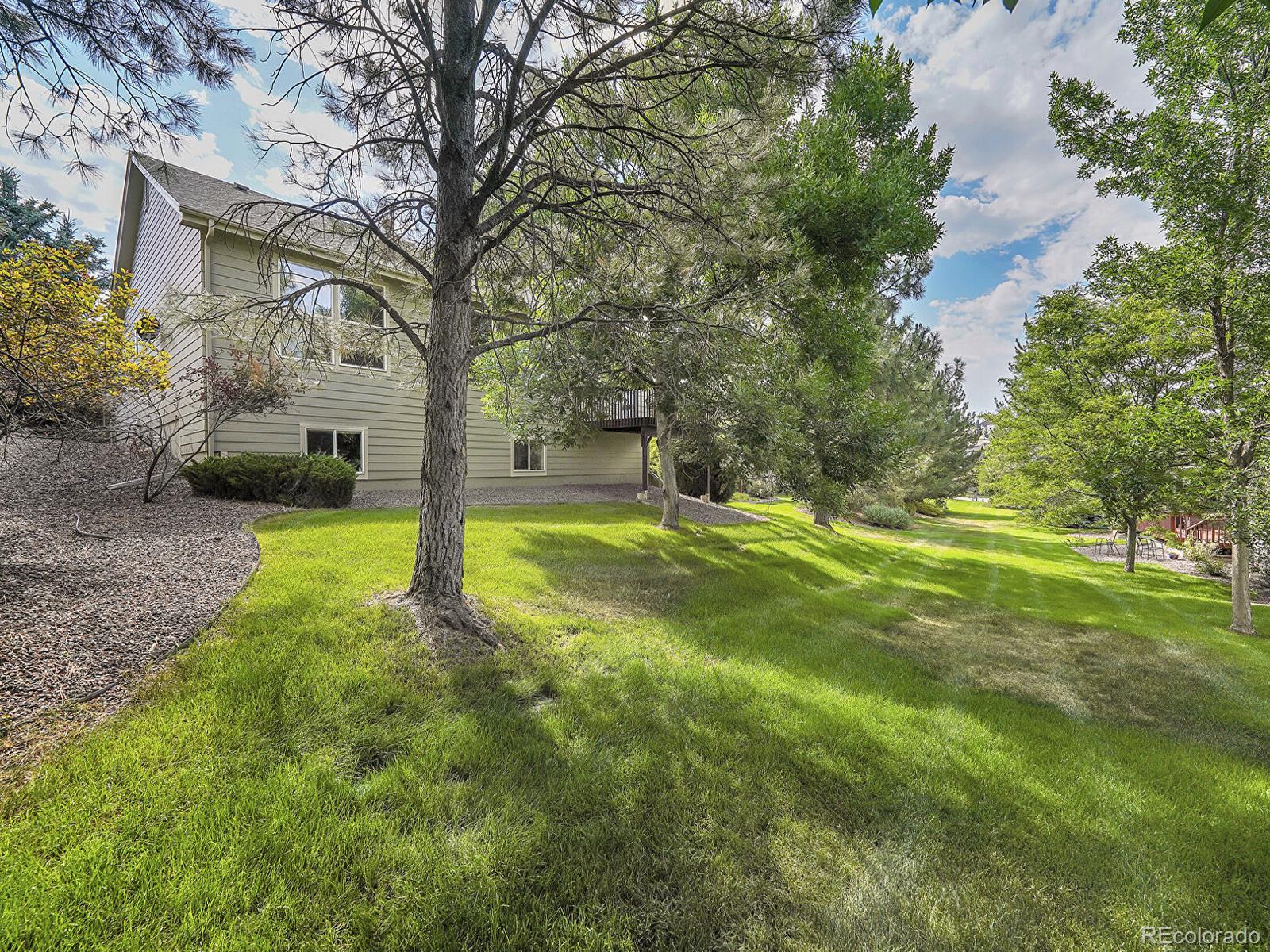 MLS Image #43 for 7464  snow lily place,castle pines, Colorado