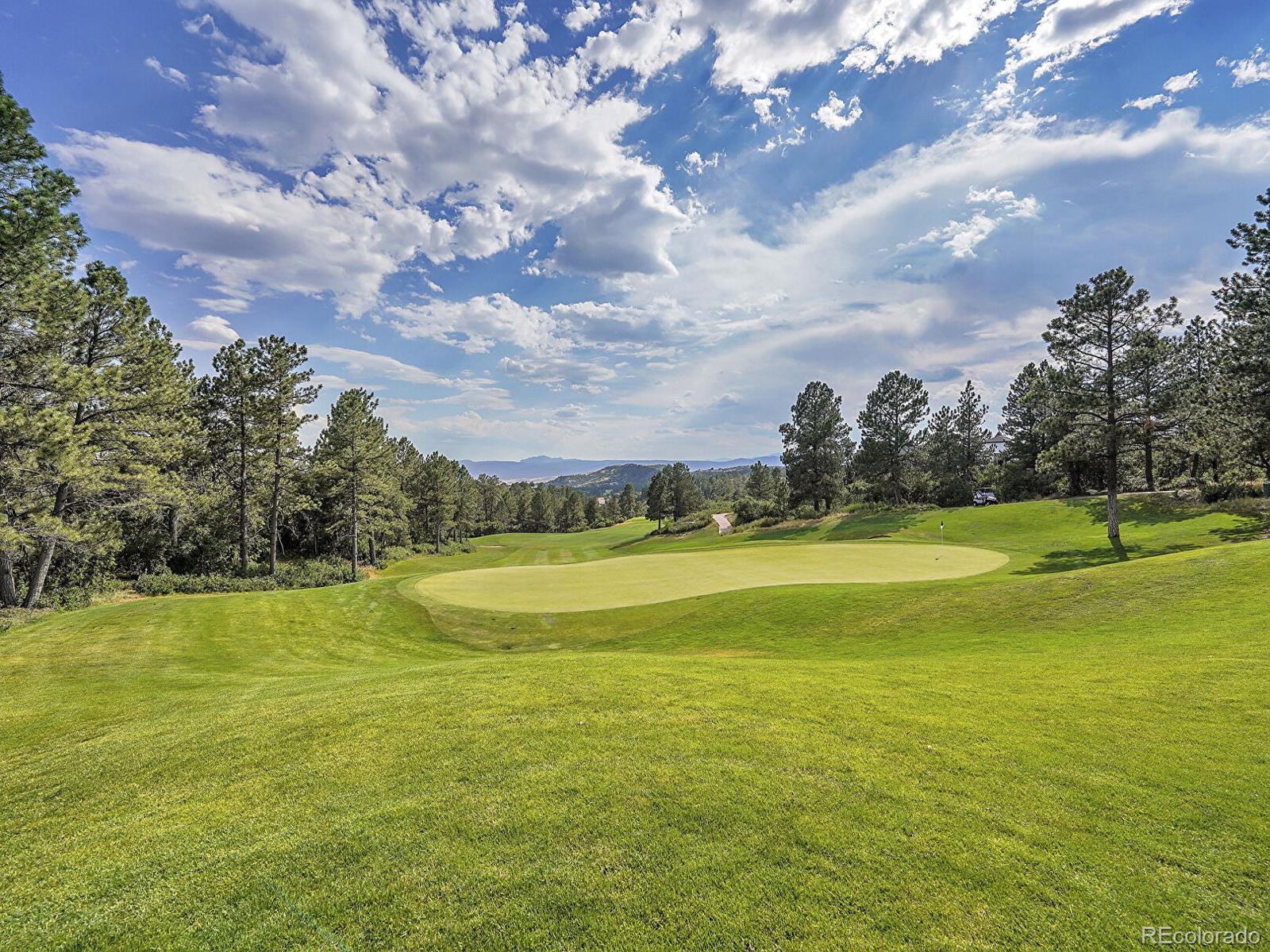 MLS Image #47 for 7464  snow lily place,castle pines, Colorado