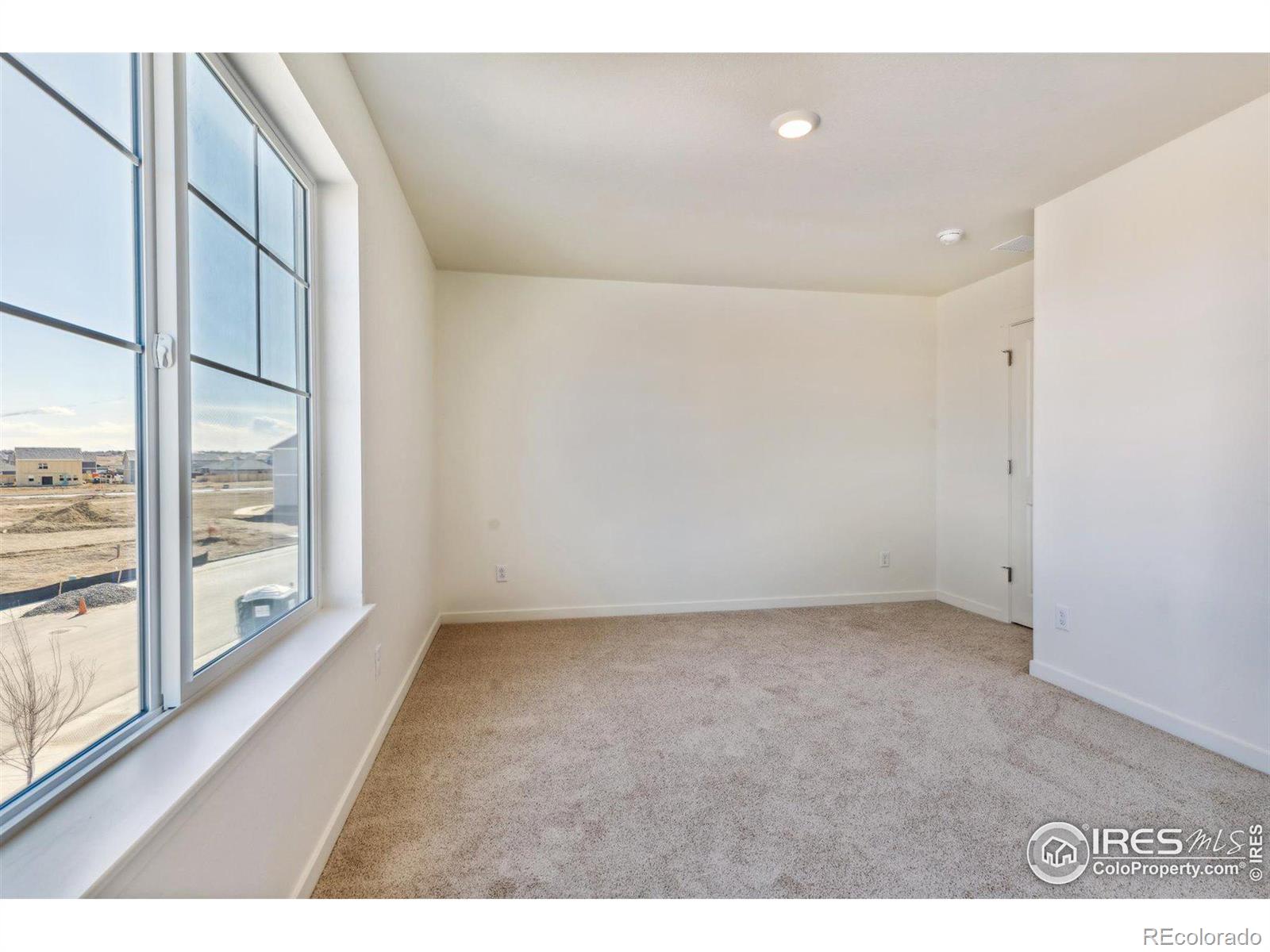 MLS Image #18 for 5010  abigar street,windsor, Colorado