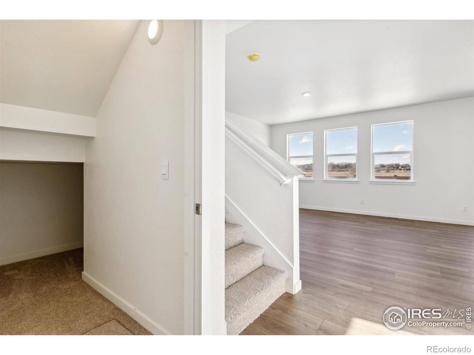 MLS Image #8 for 5010  abigar street,windsor, Colorado