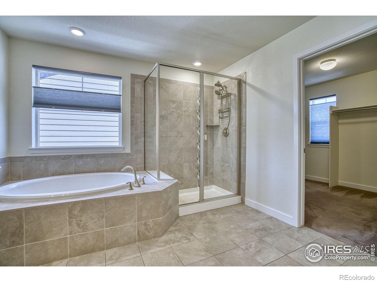 MLS Image #13 for 2224  tyrrhenian circle,longmont, Colorado